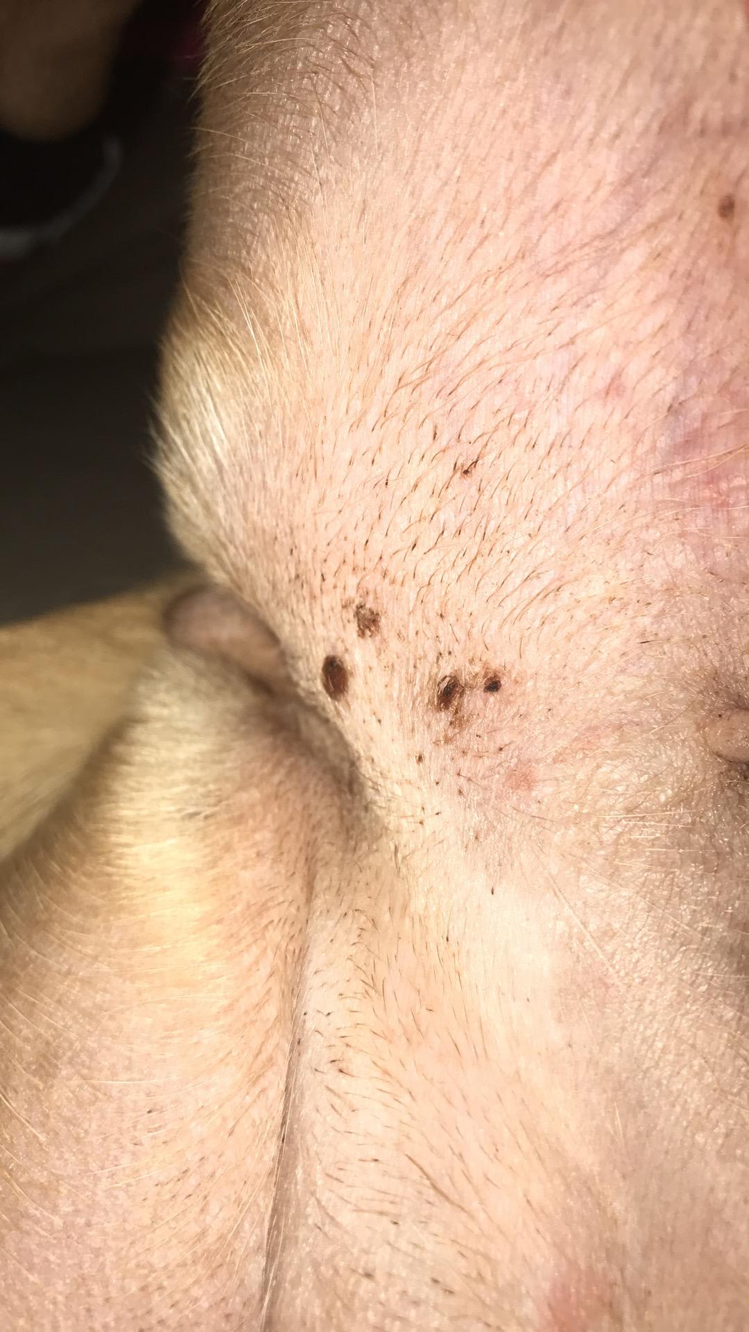 Question details sensitive content