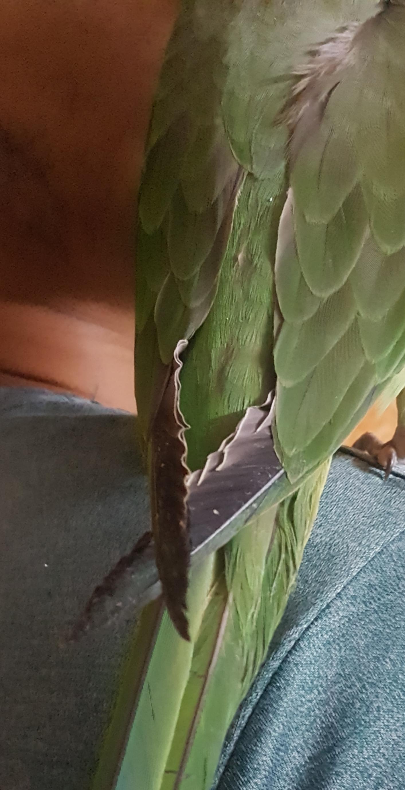 Question details sensitive content