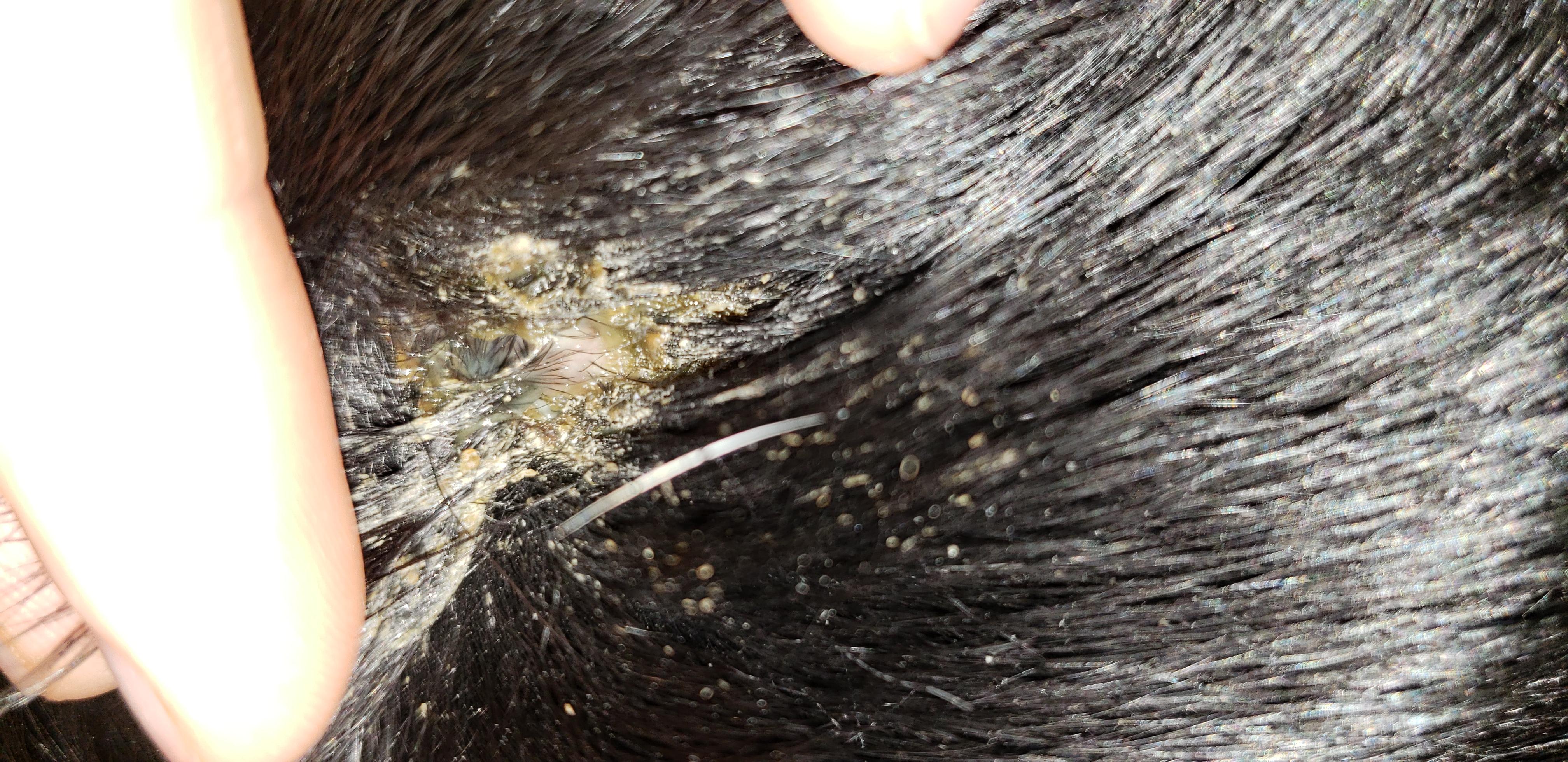 Question details sensitive content