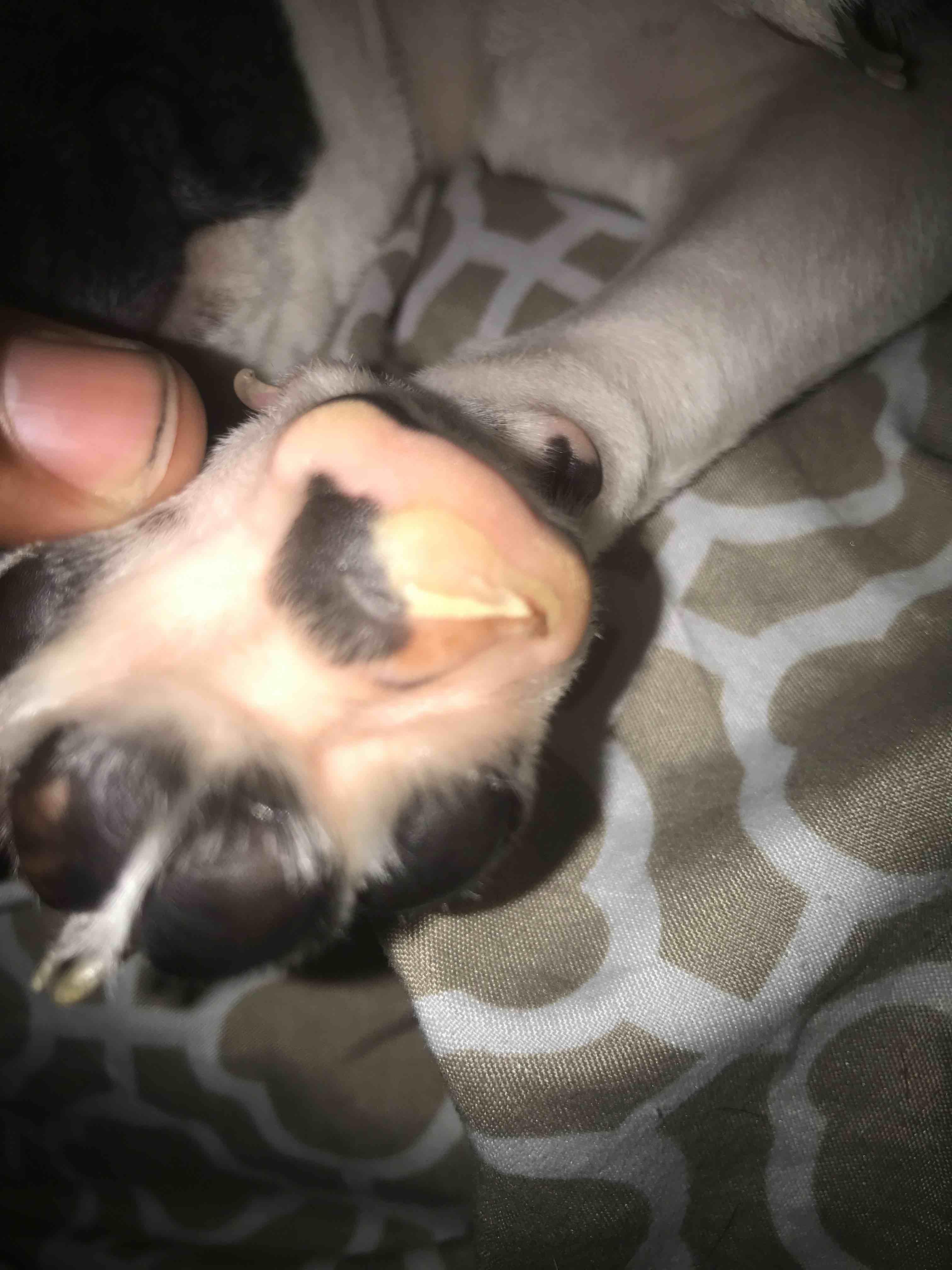 Question details sensitive content