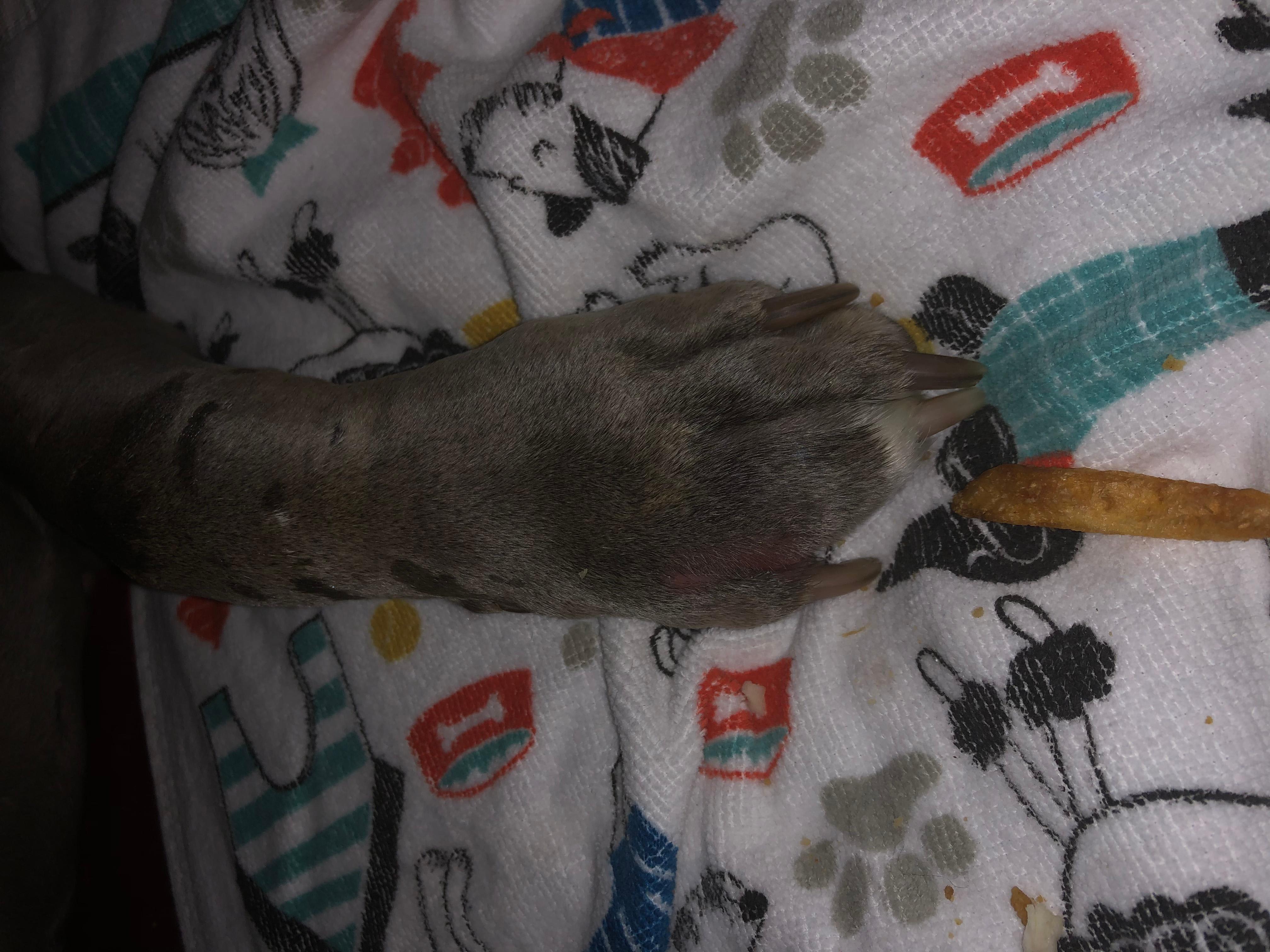 Question details sensitive content