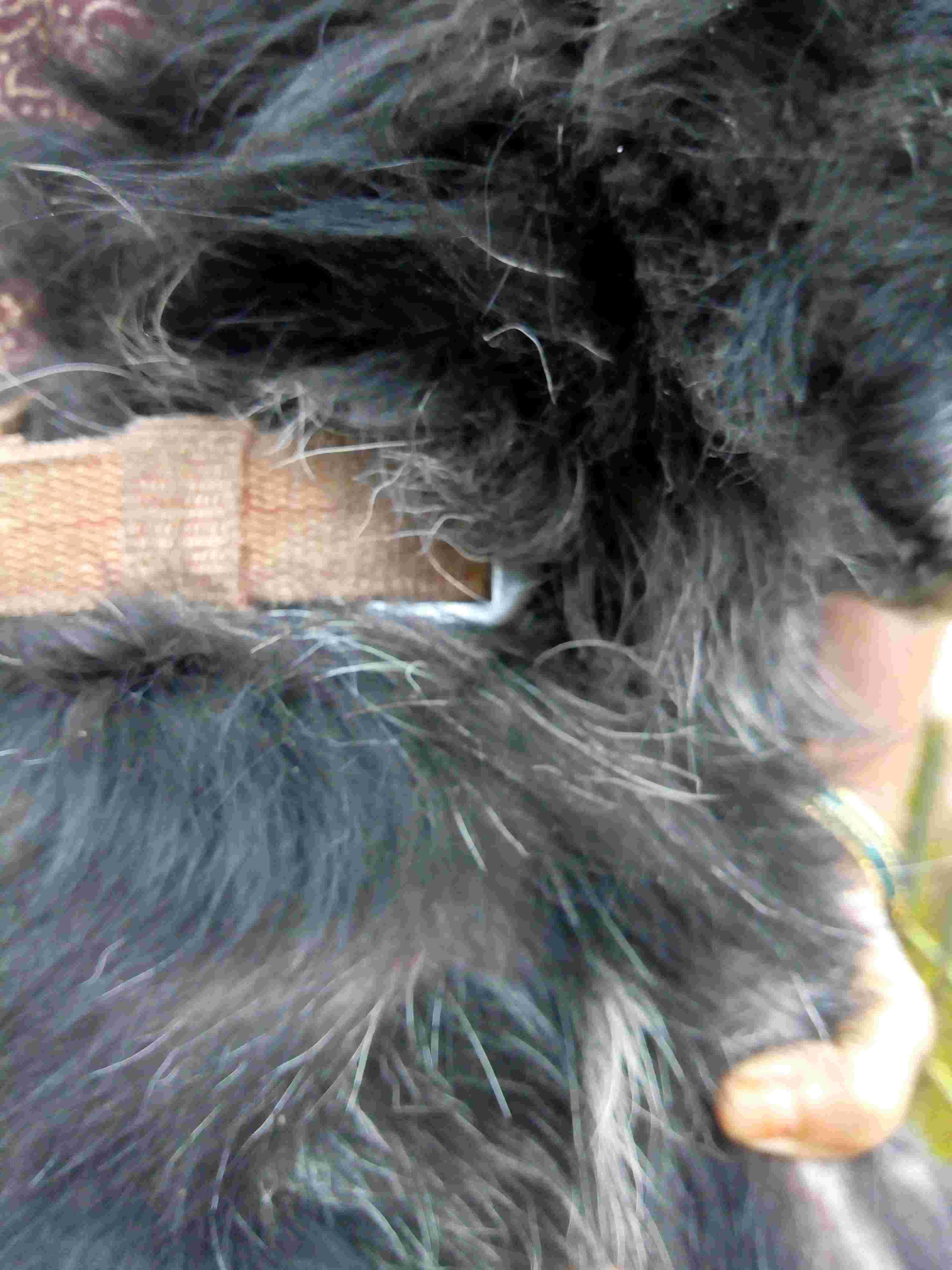 Question details sensitive content