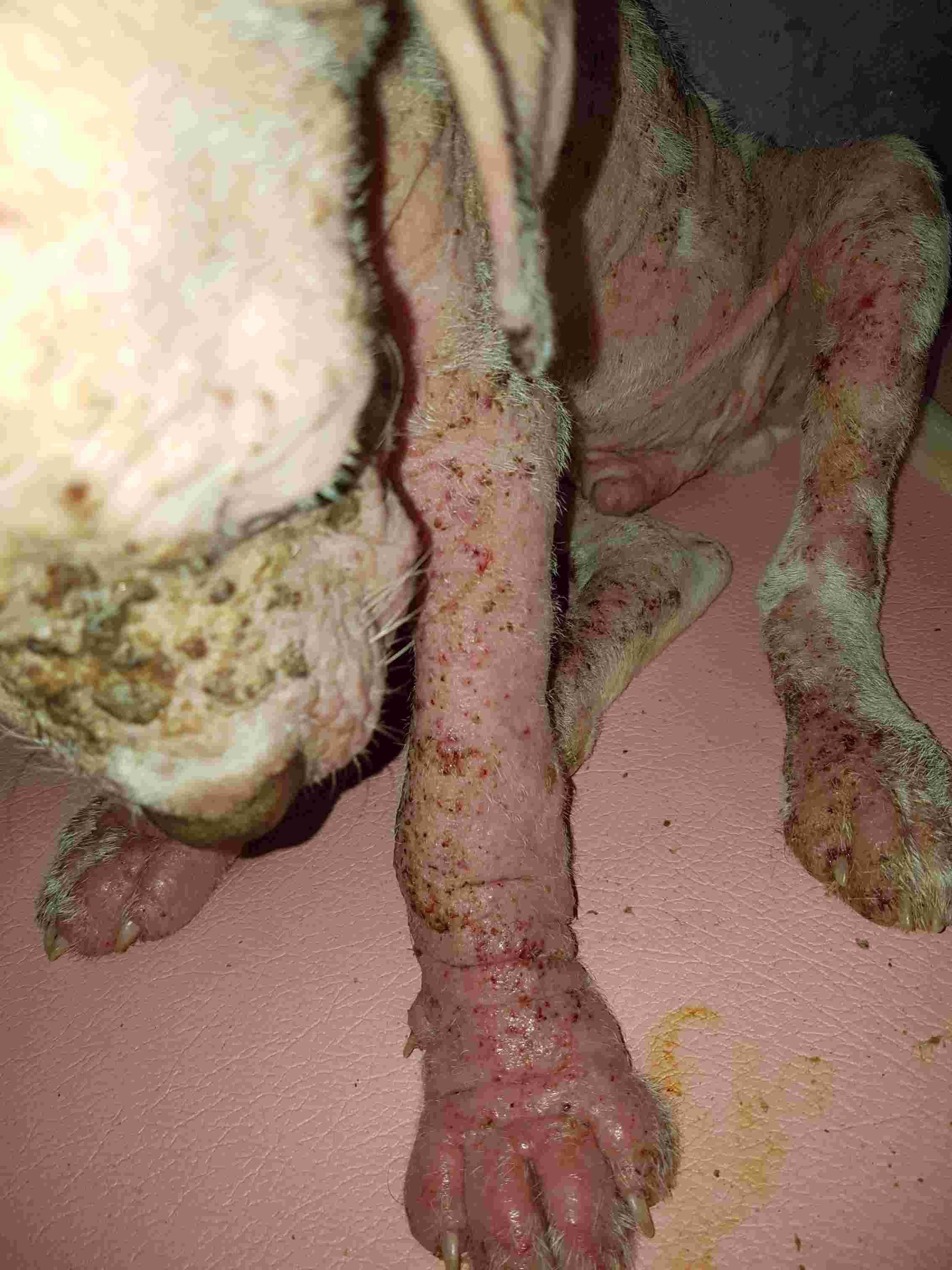 Question details sensitive content