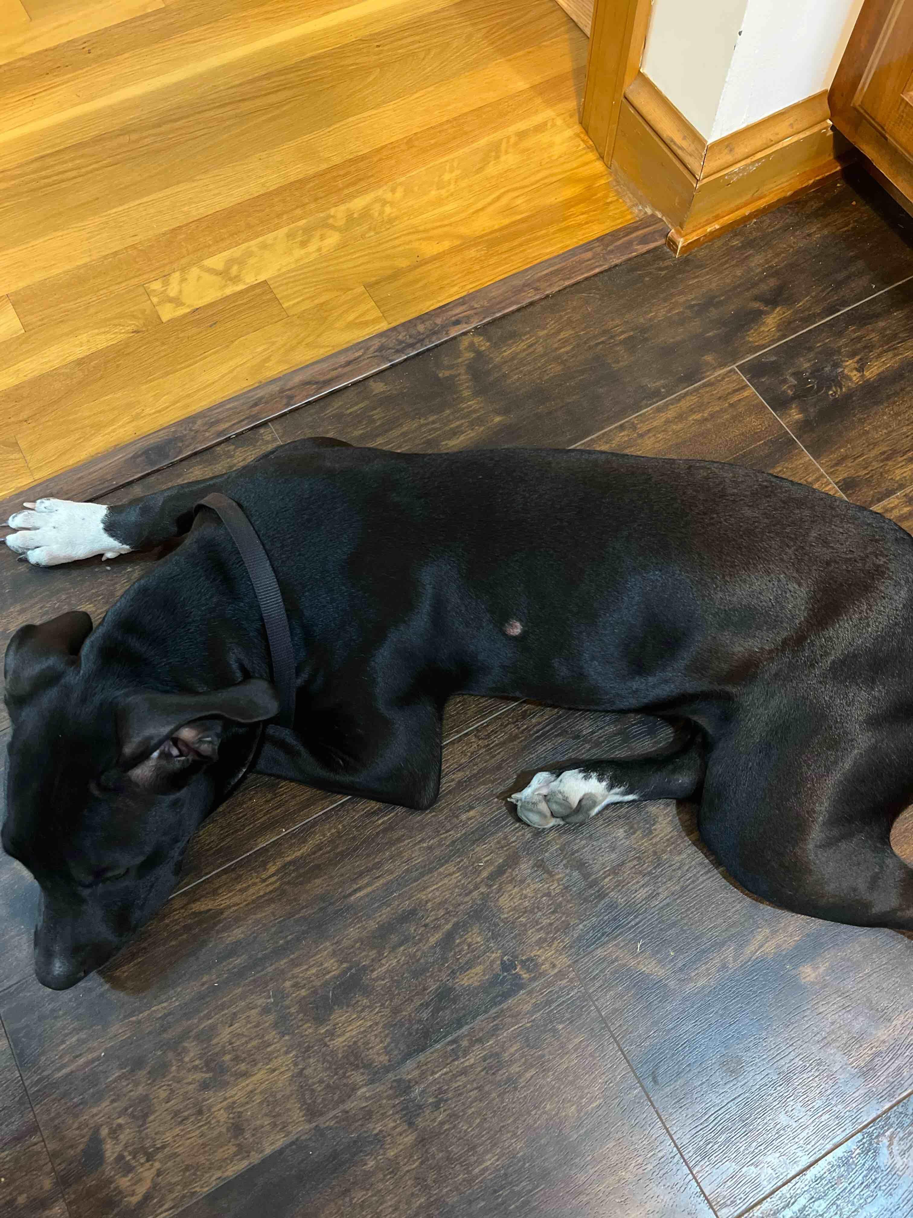 Question details sensitive content