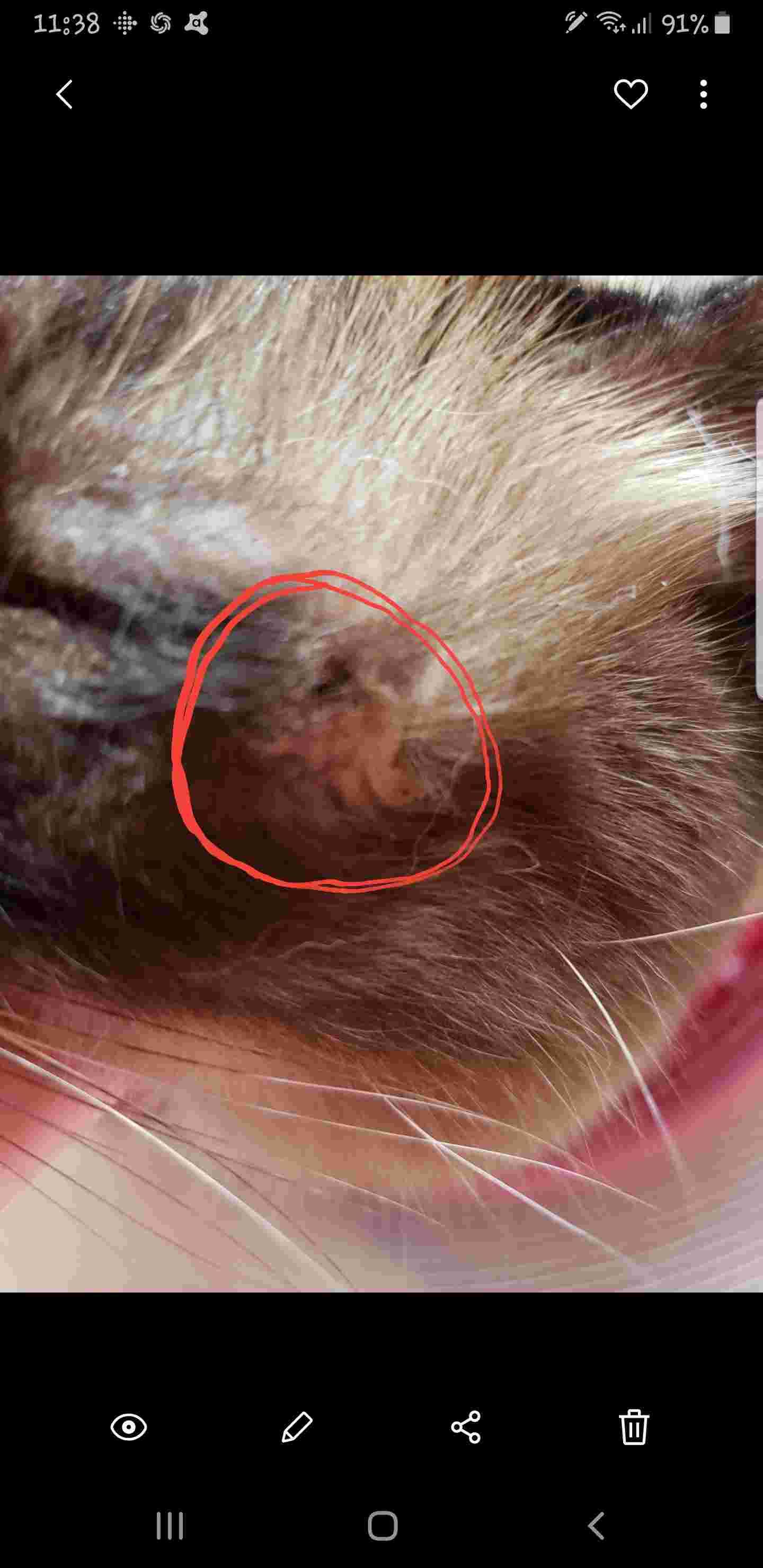 Question details sensitive content