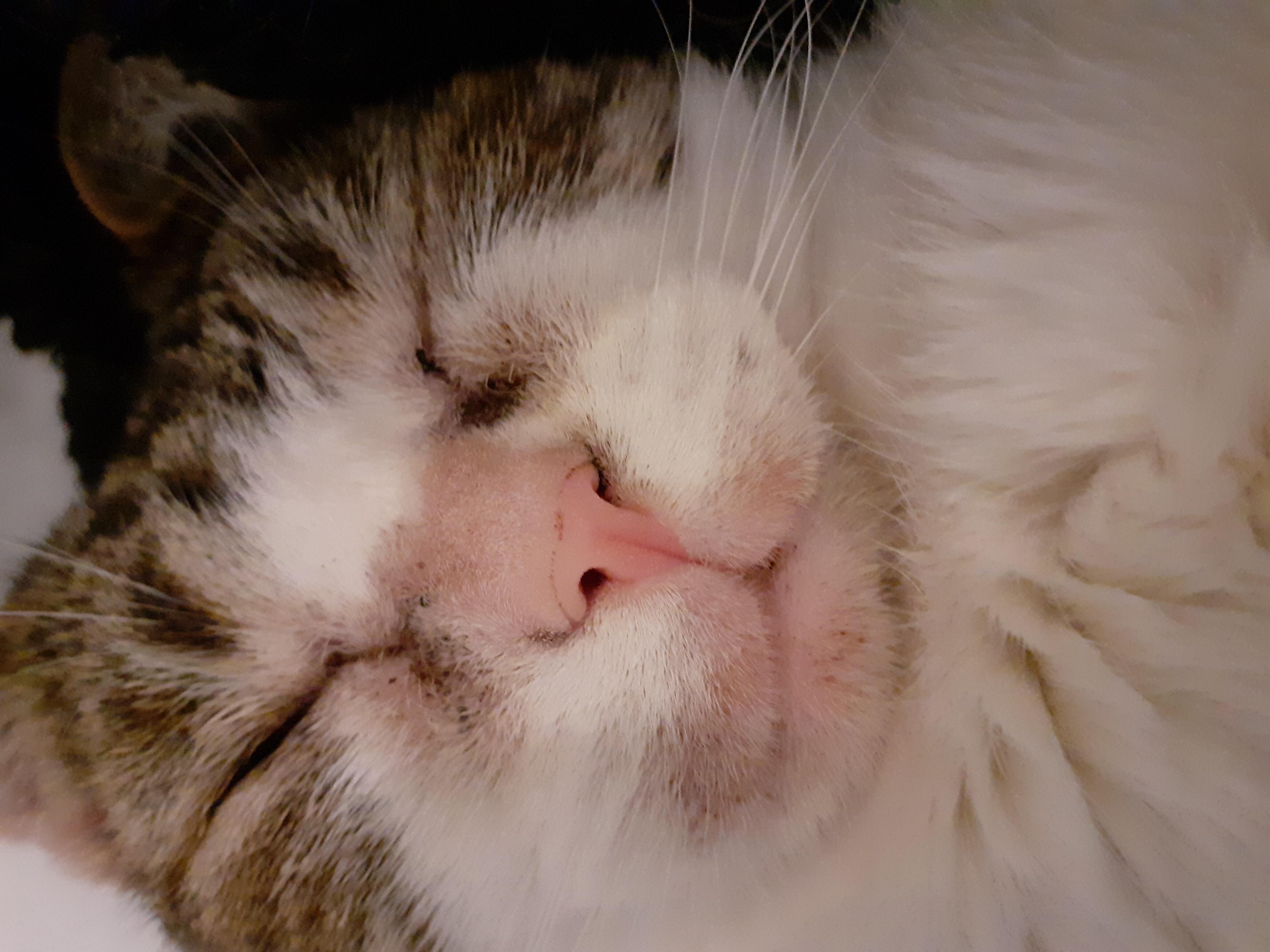 Question details sensitive content