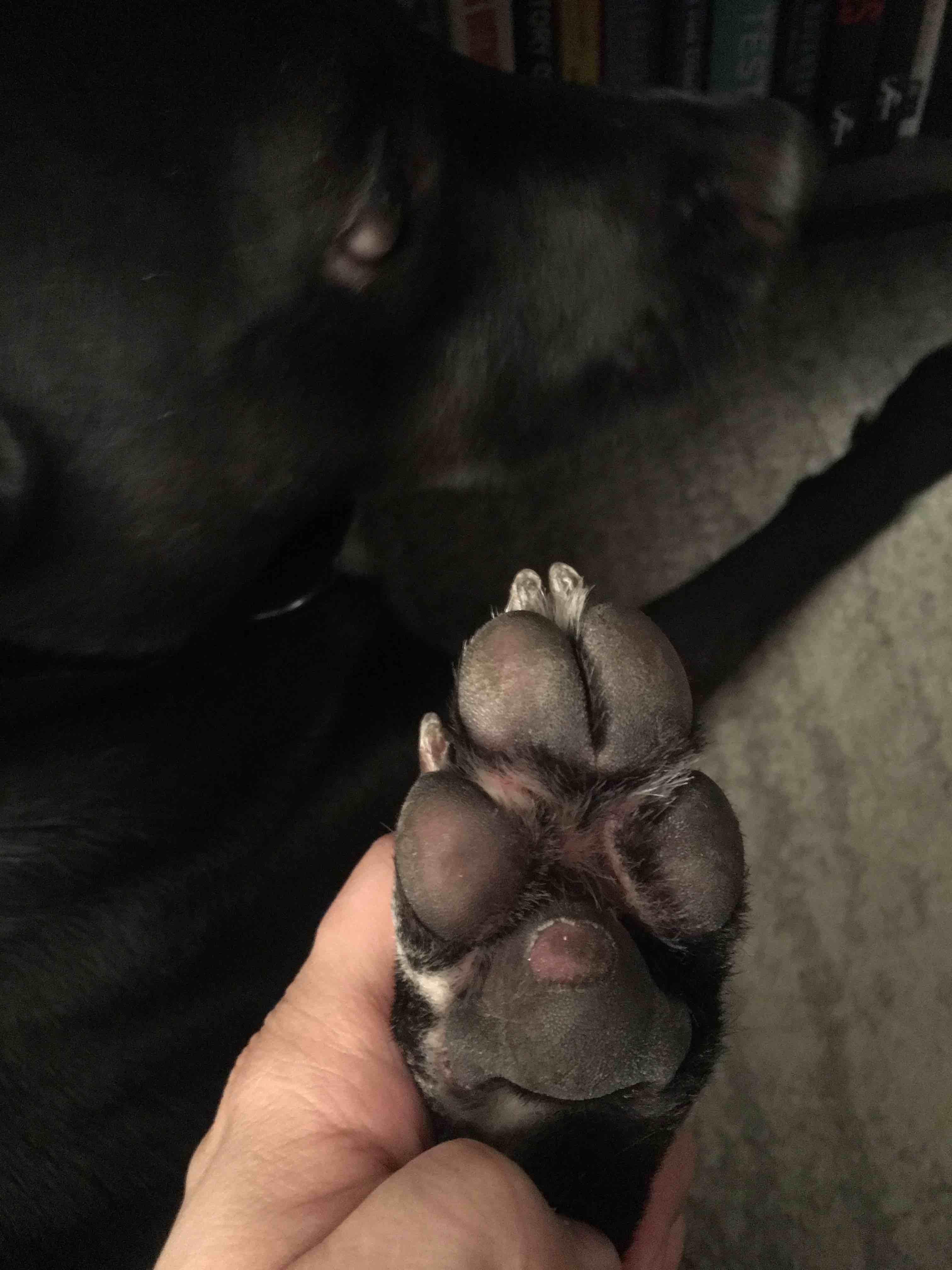 Question details sensitive content