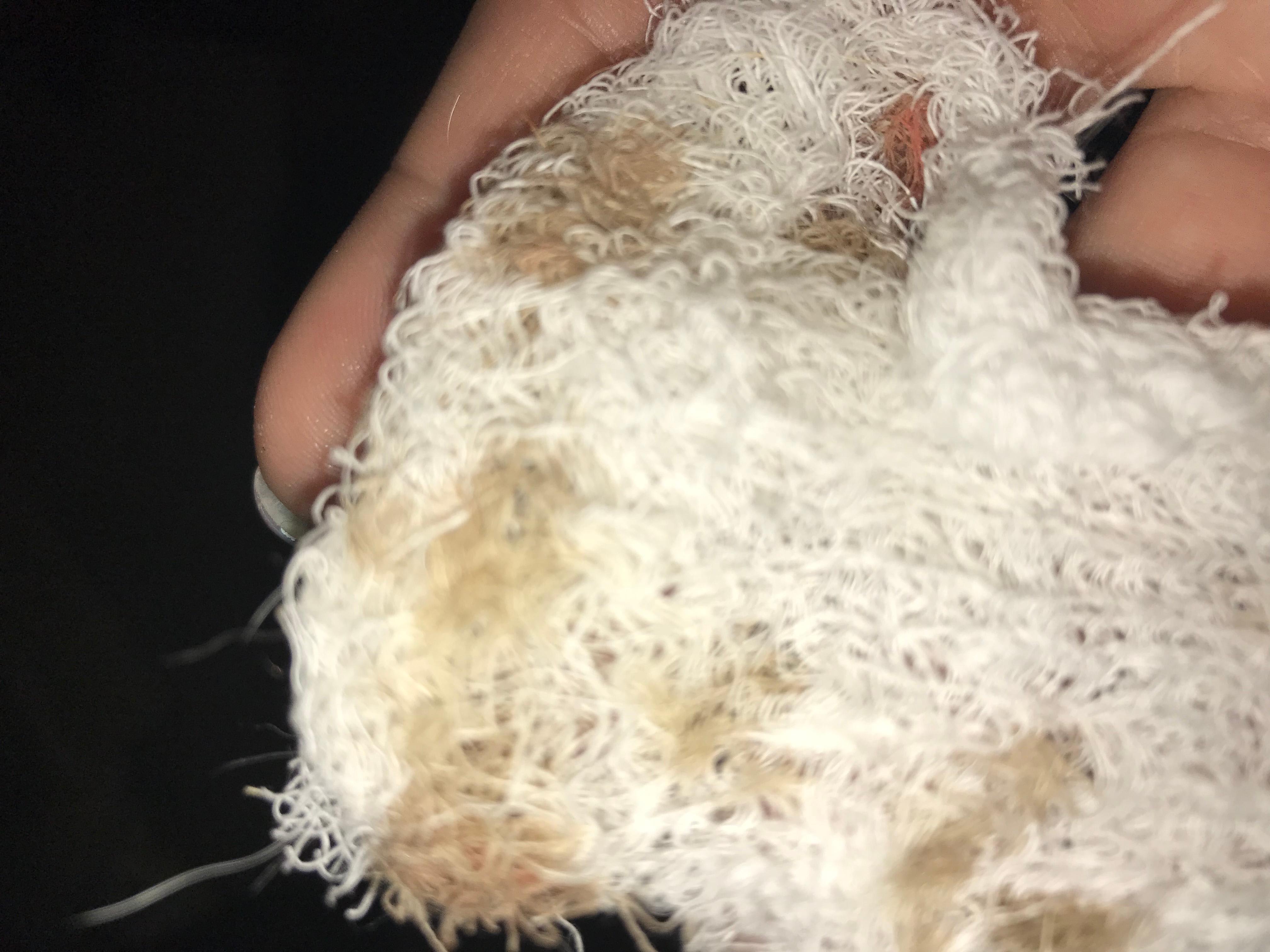 Question details sensitive content