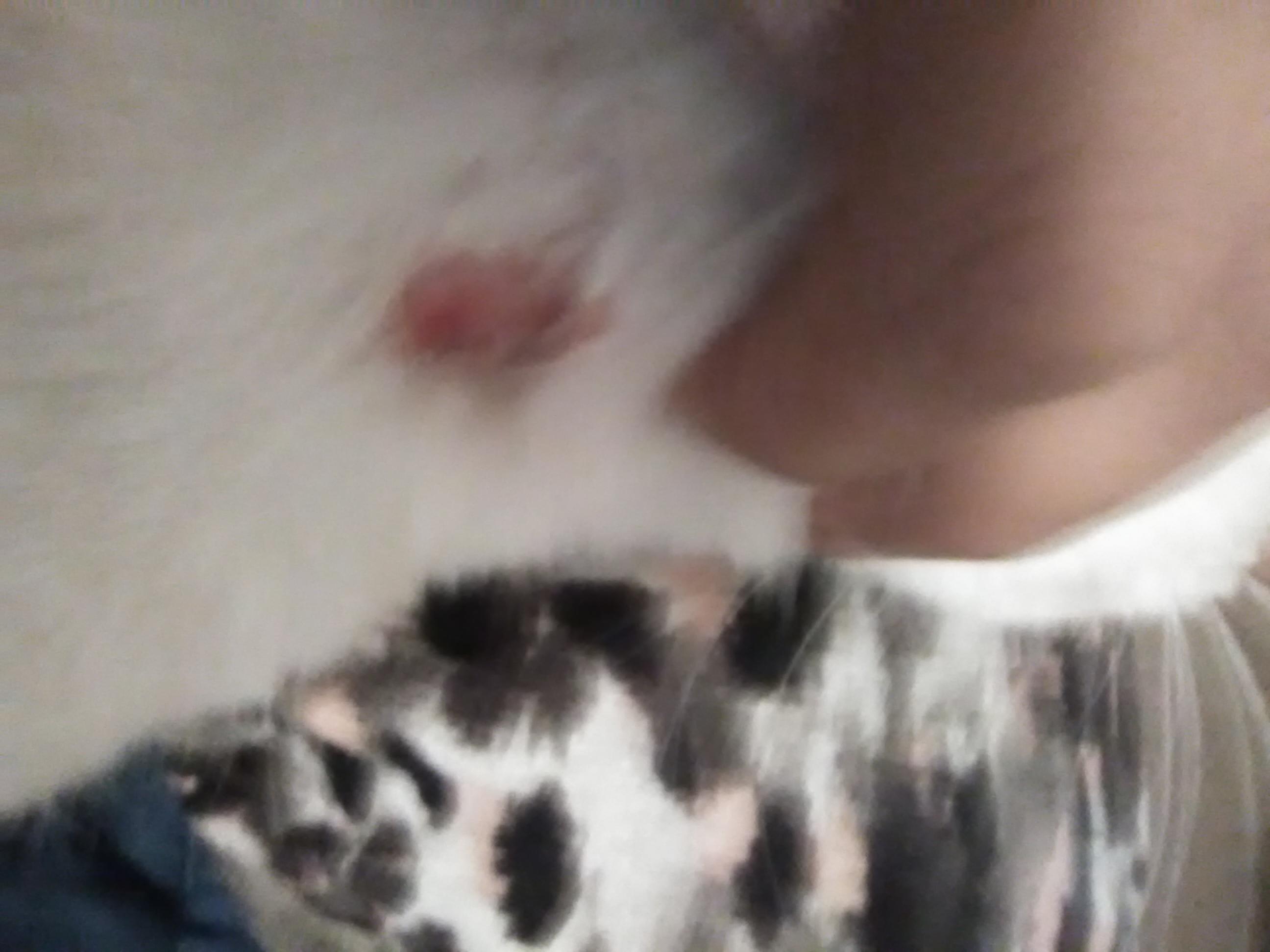 Question details sensitive content