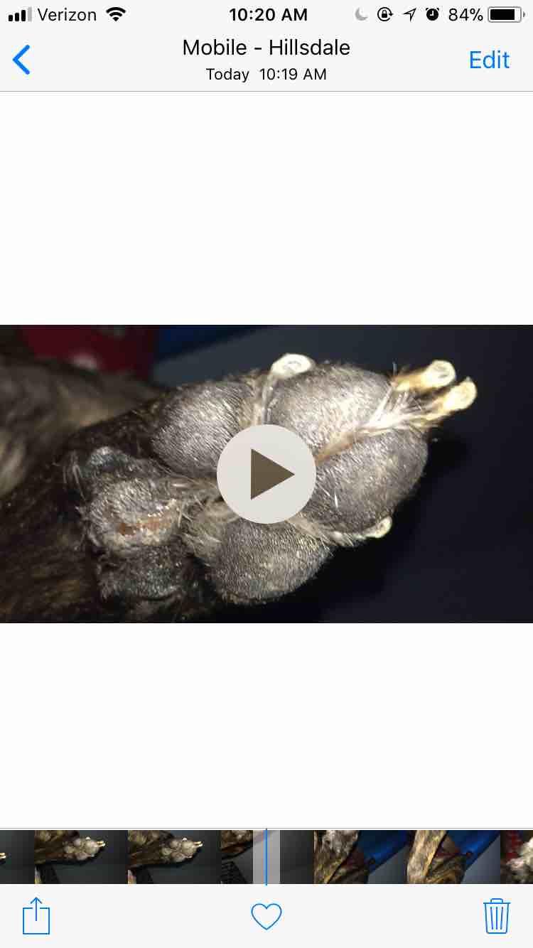 Question details sensitive content