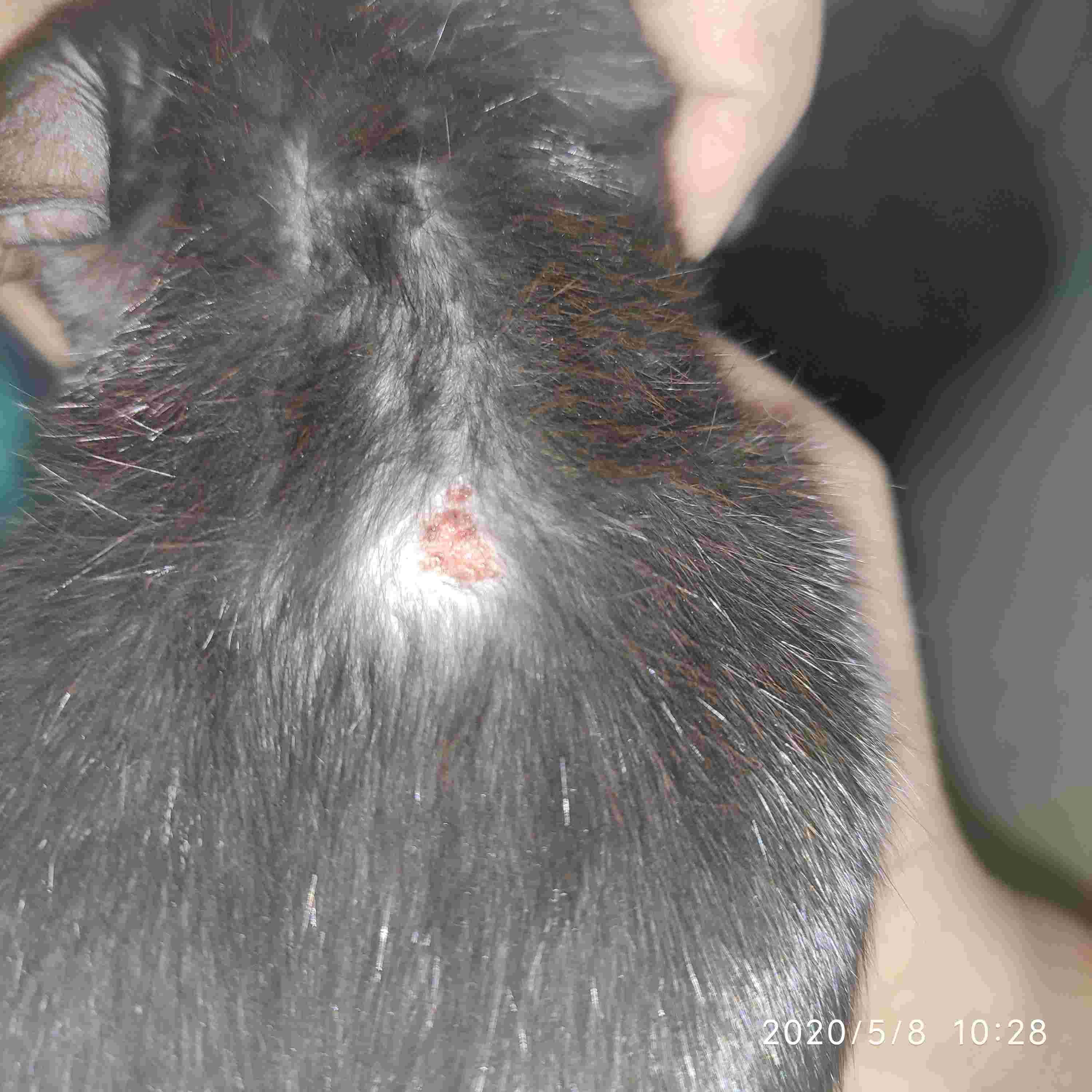 Question details sensitive content