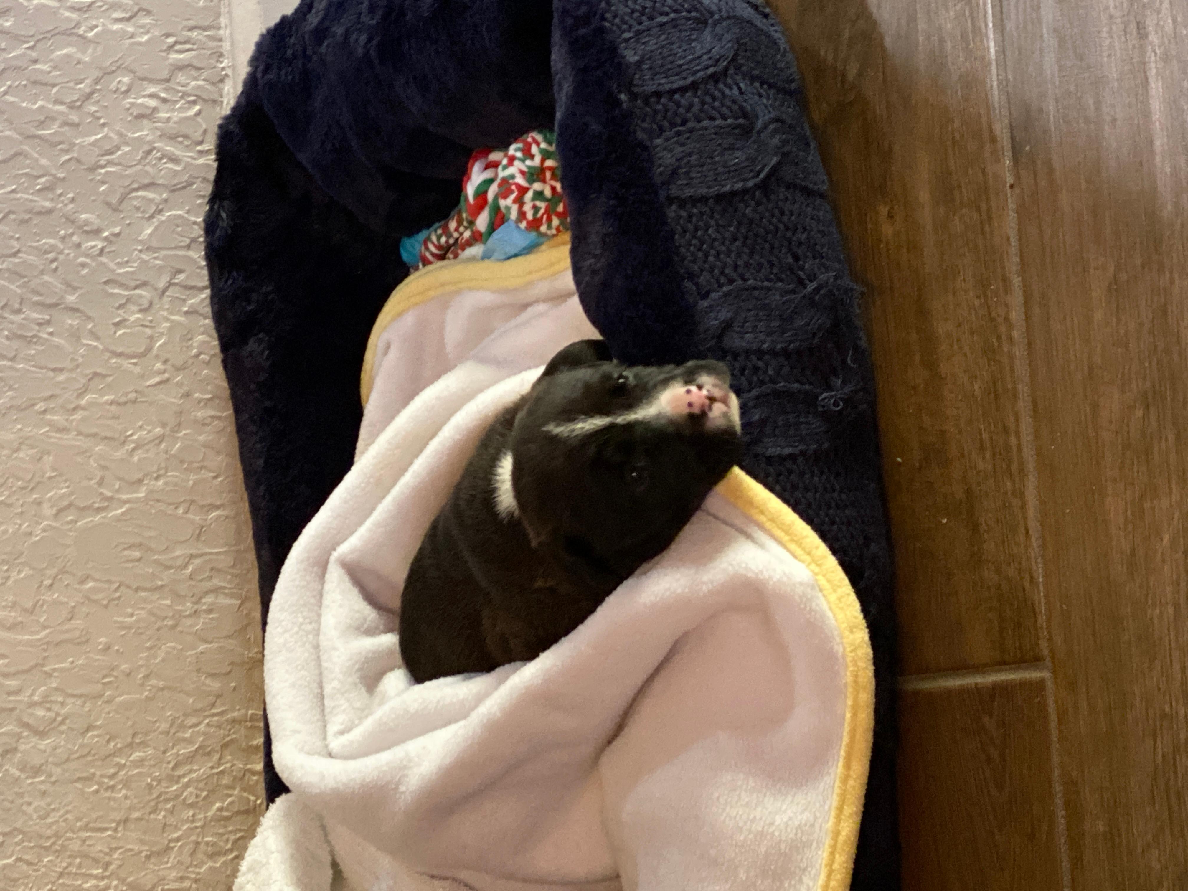 Question details sensitive content