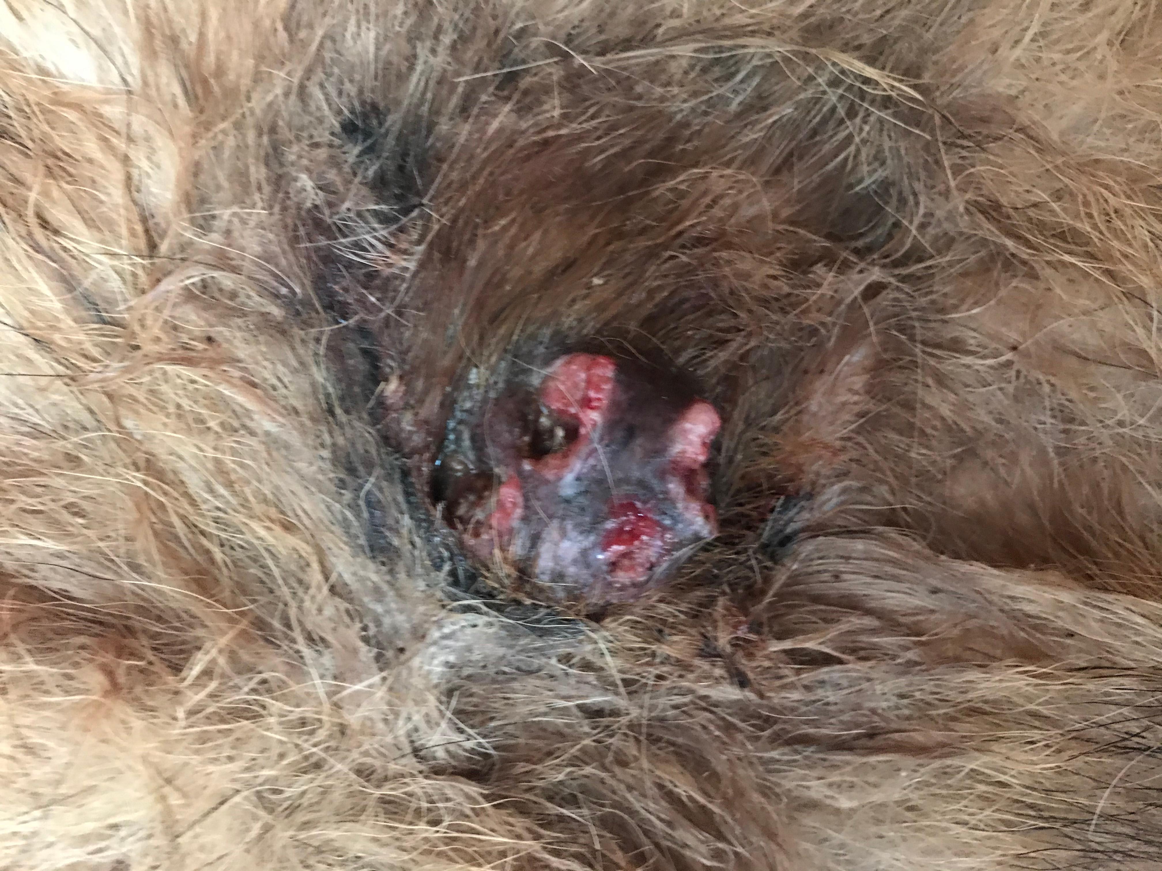 Question details sensitive content