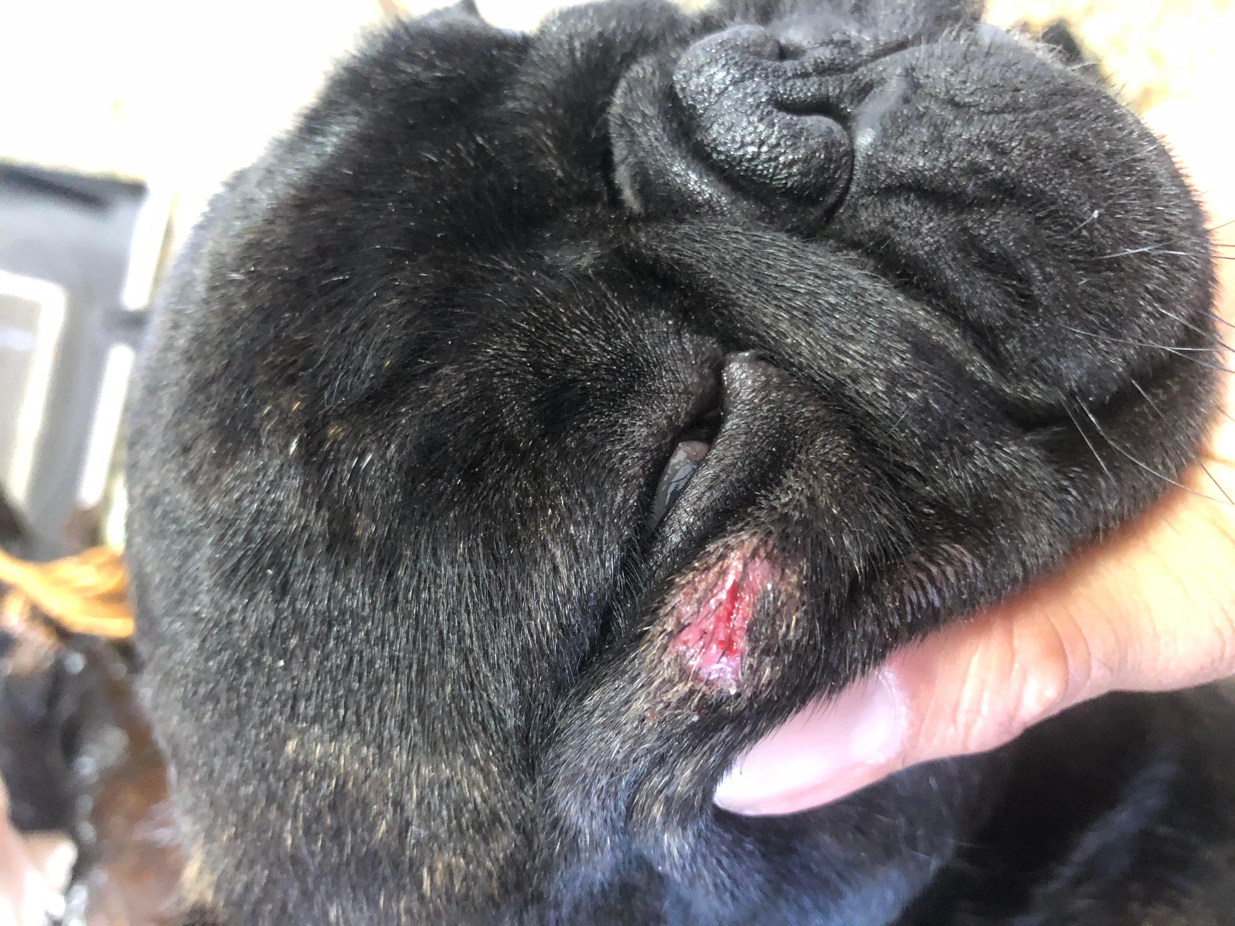 Question details sensitive content