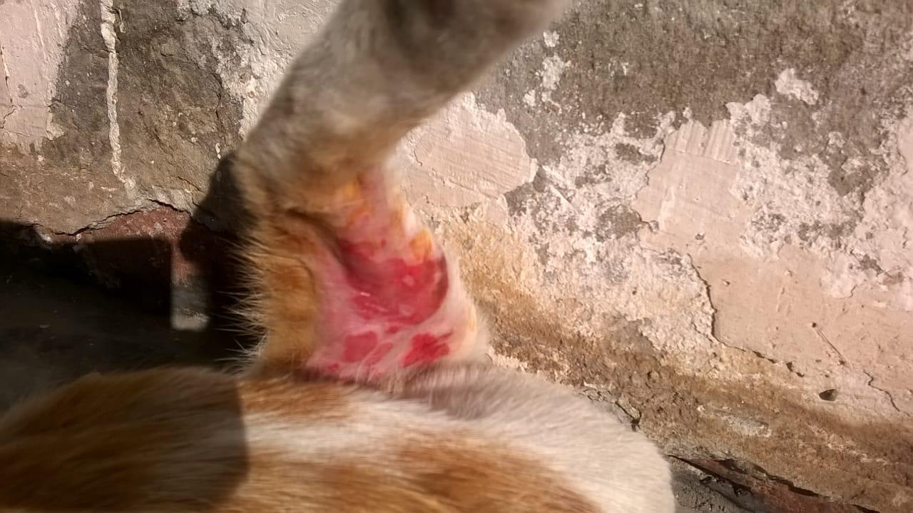 Question details sensitive content