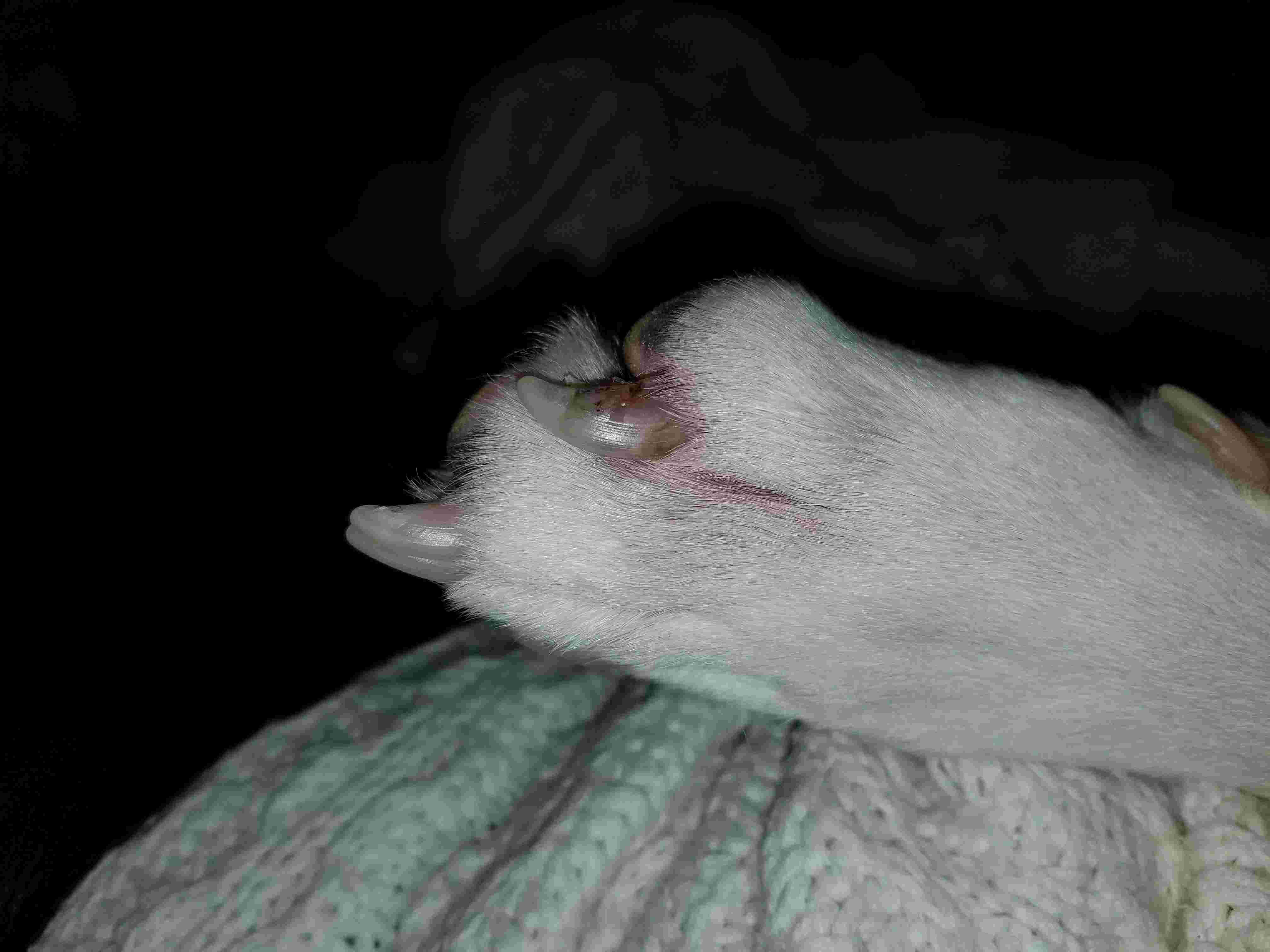 Question details sensitive content