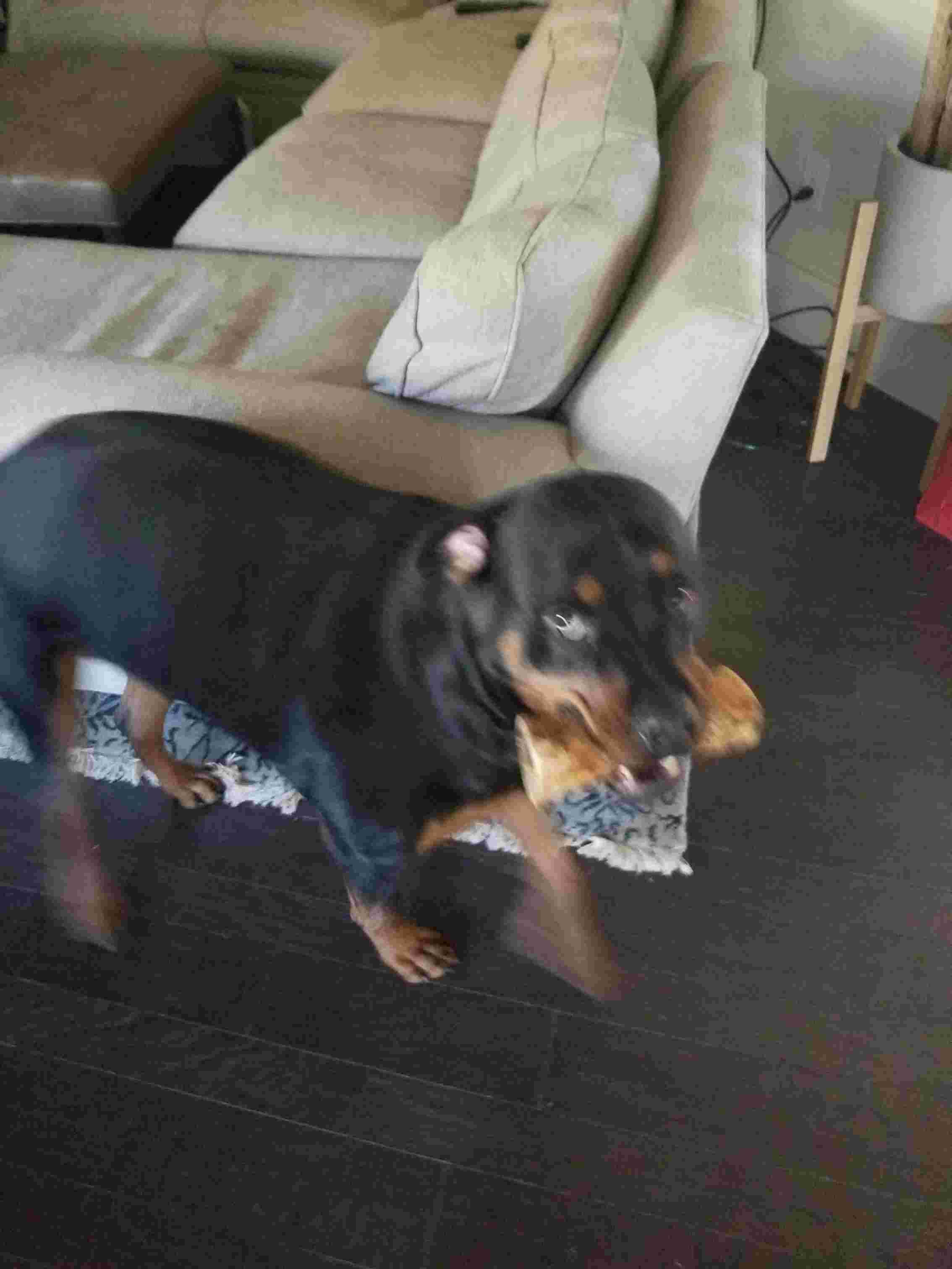 Question details sensitive content