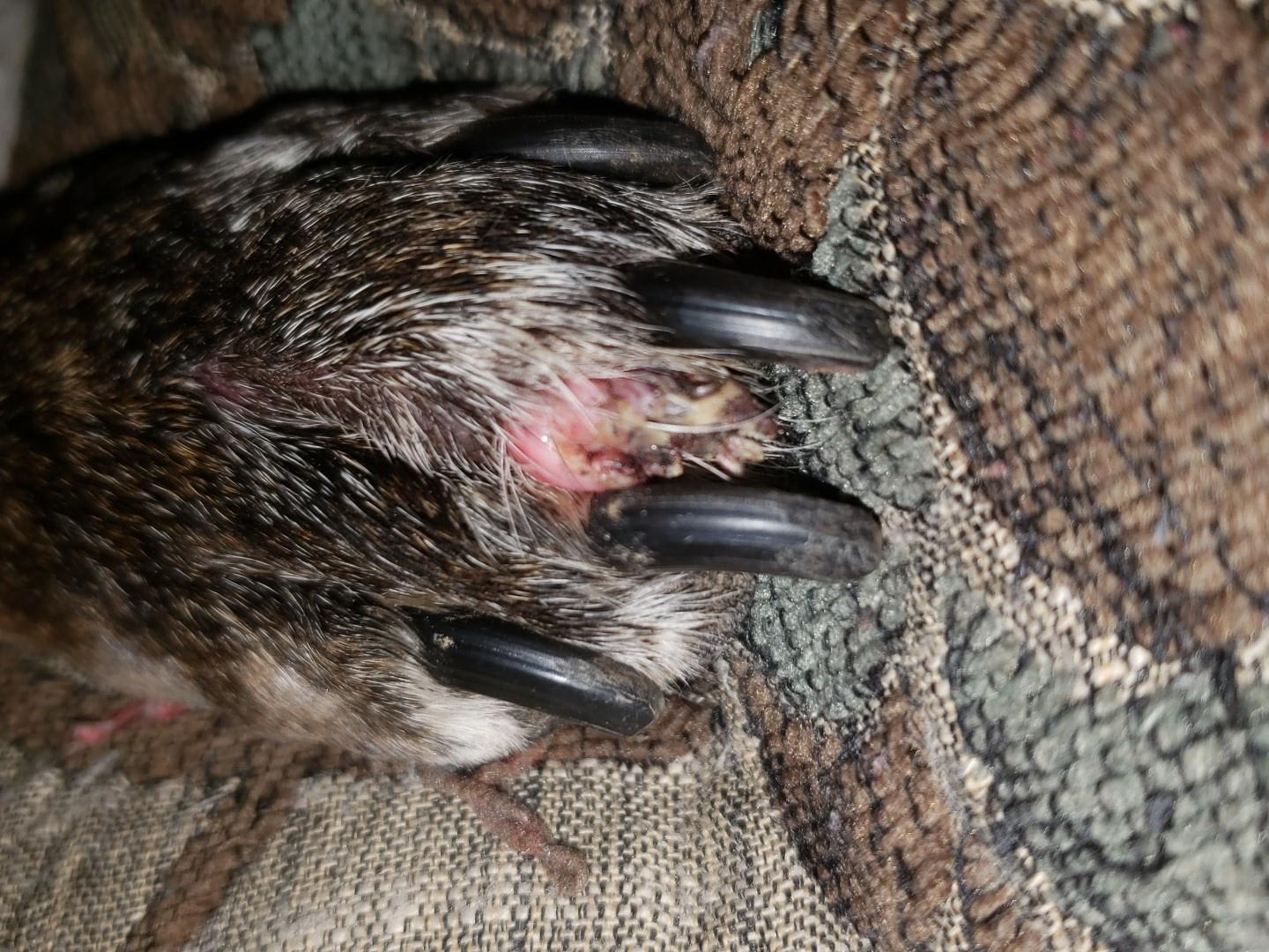 Question details sensitive content