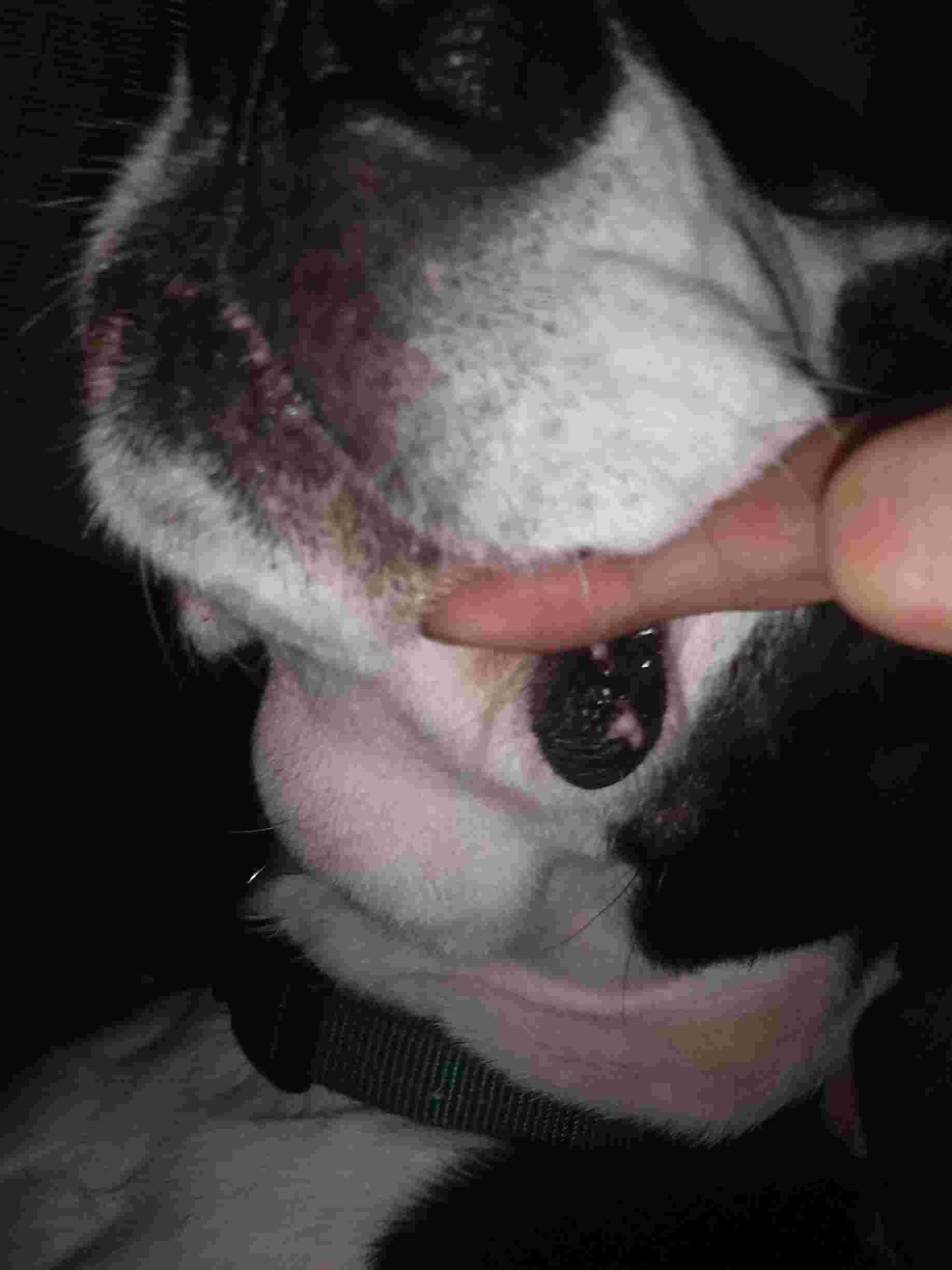 Question details sensitive content