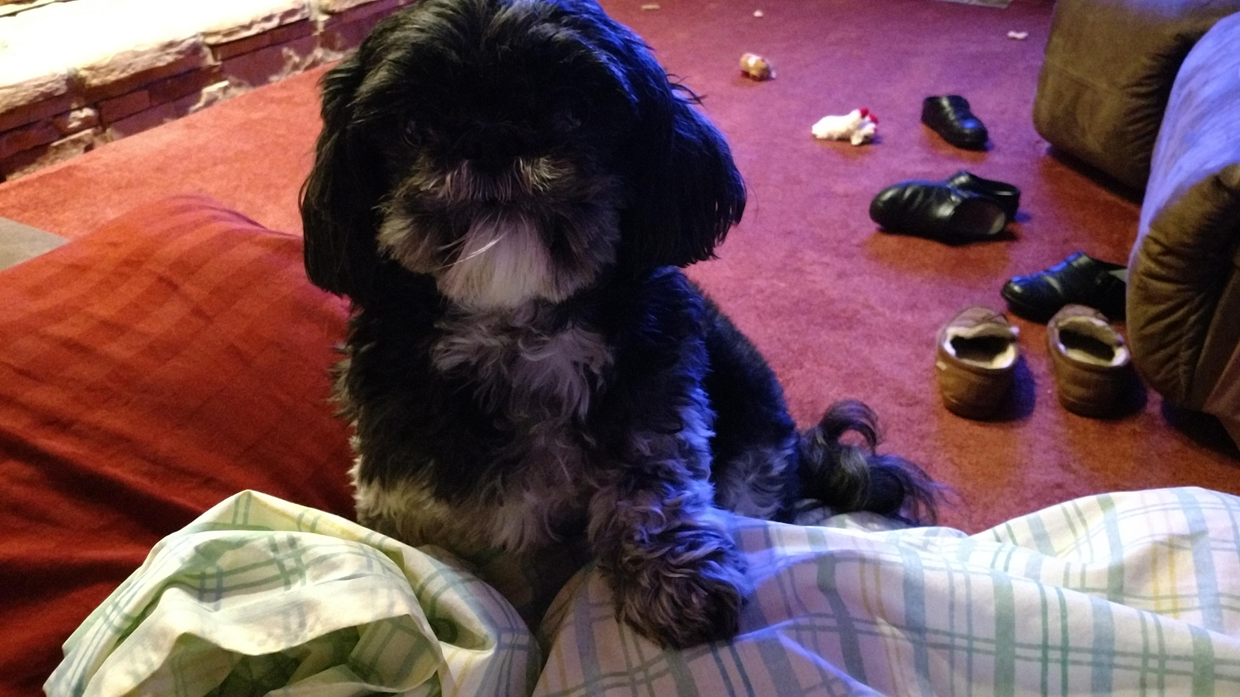 Question details sensitive content