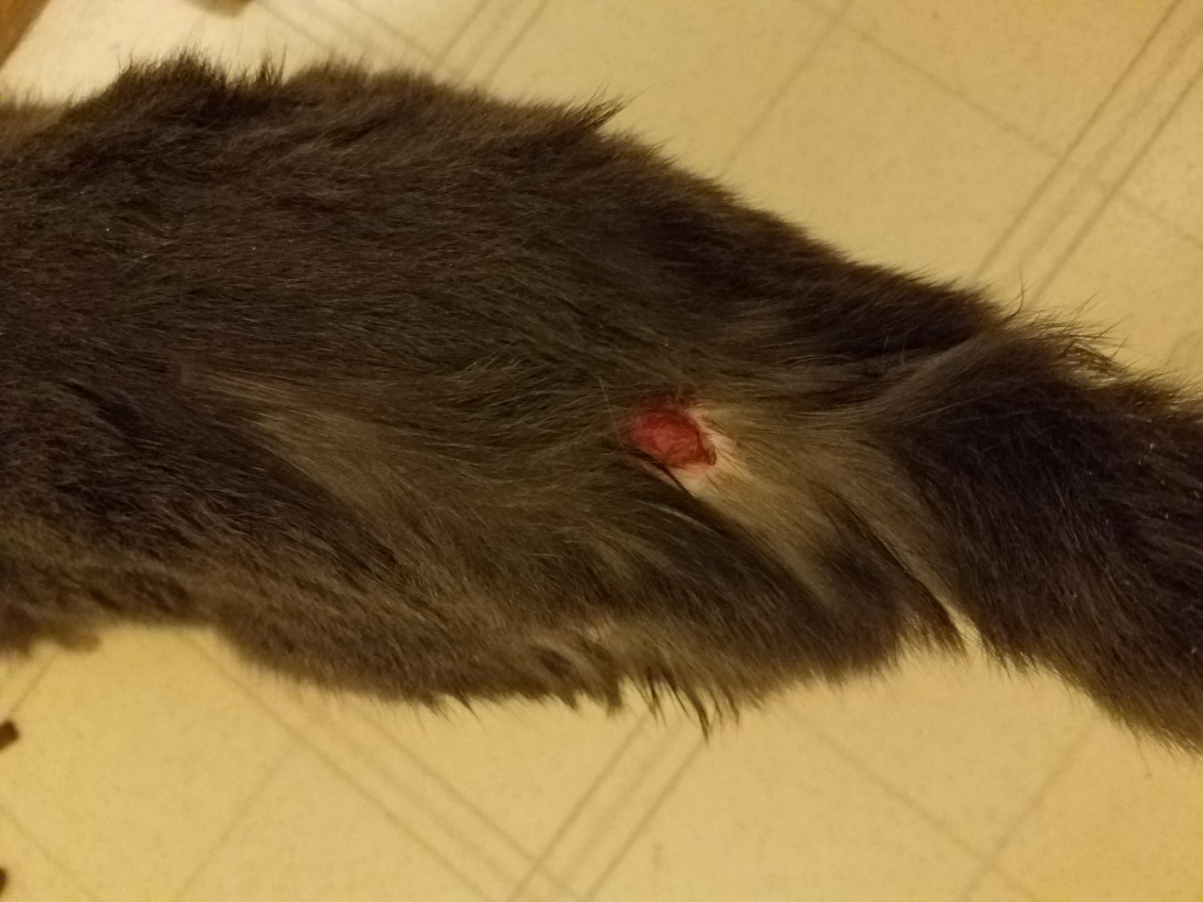 Question details sensitive content