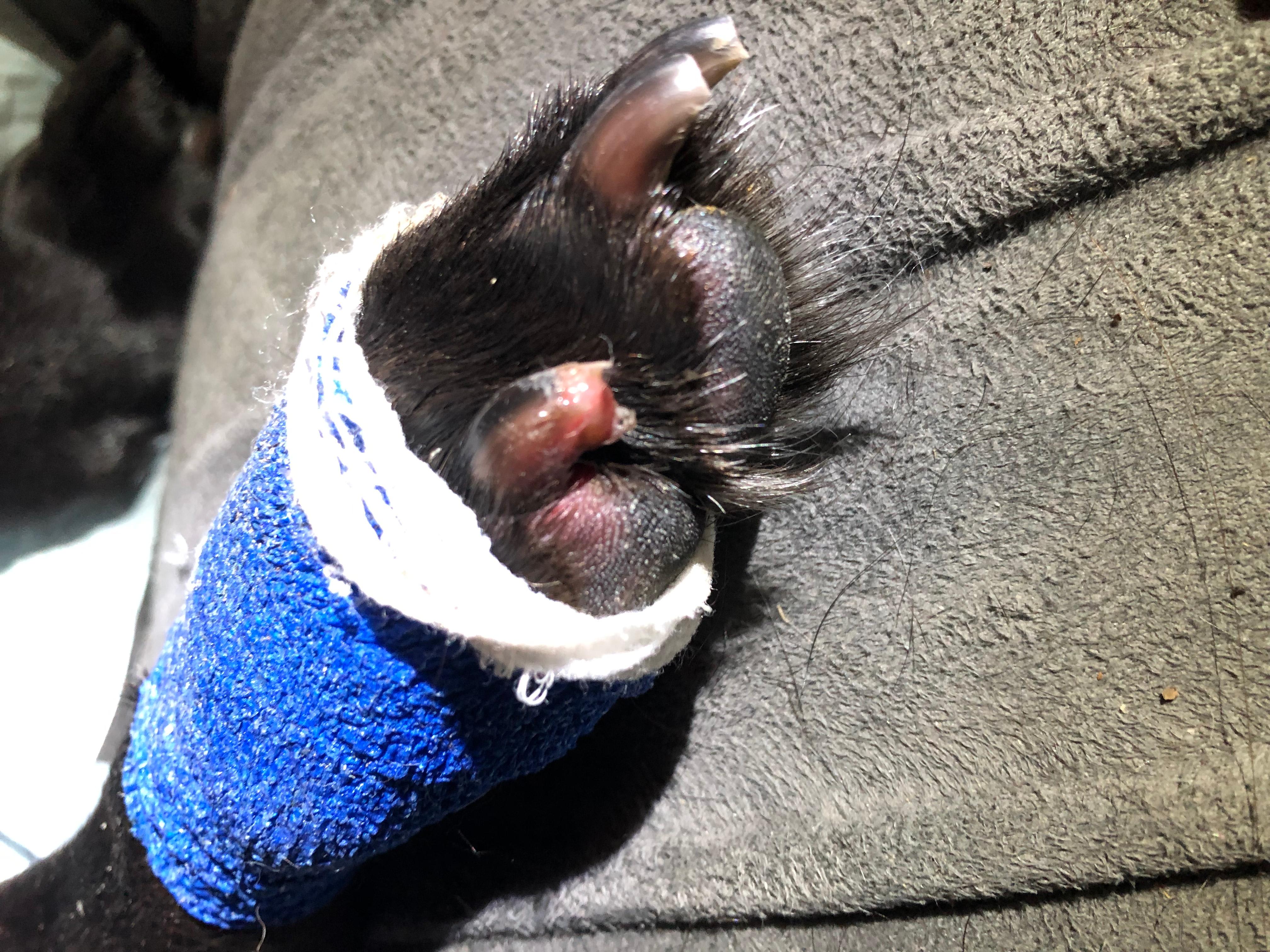 Question details sensitive content