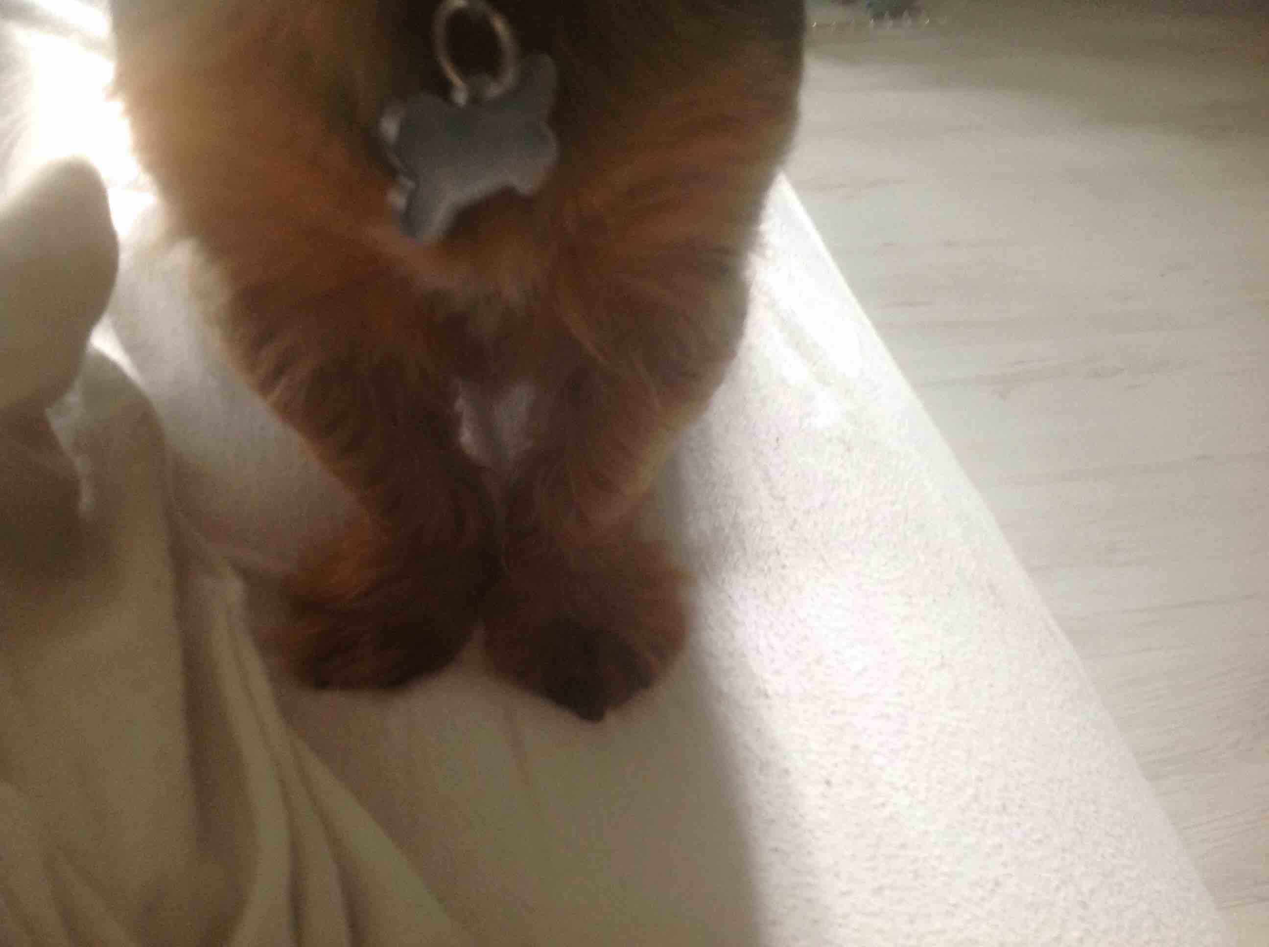 Question details sensitive content