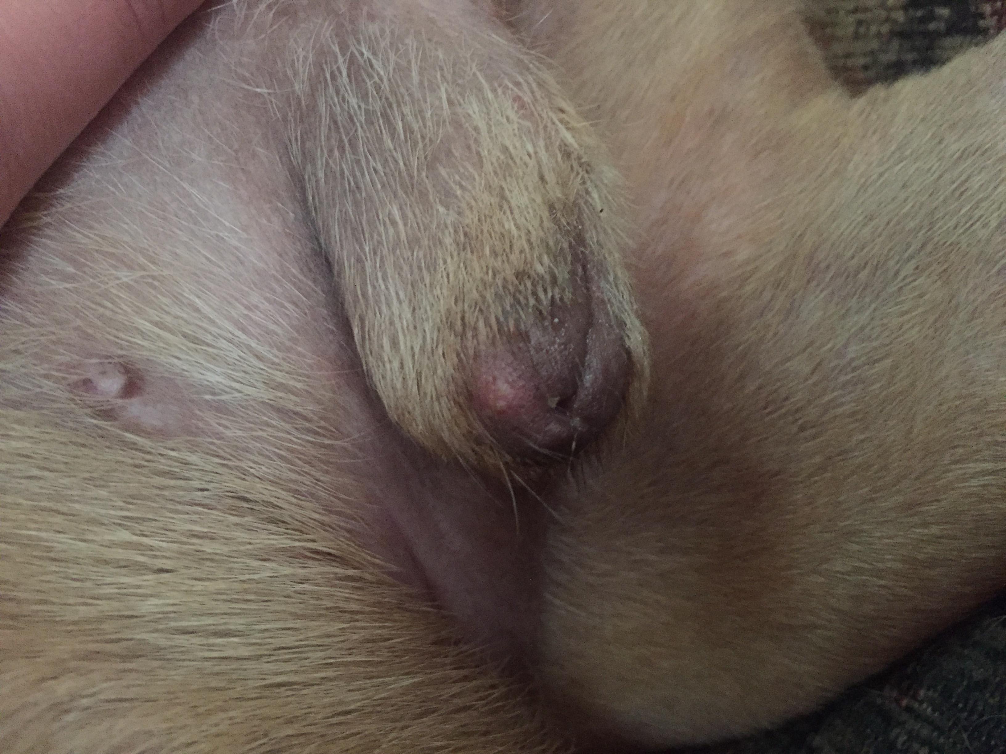 Question details sensitive content