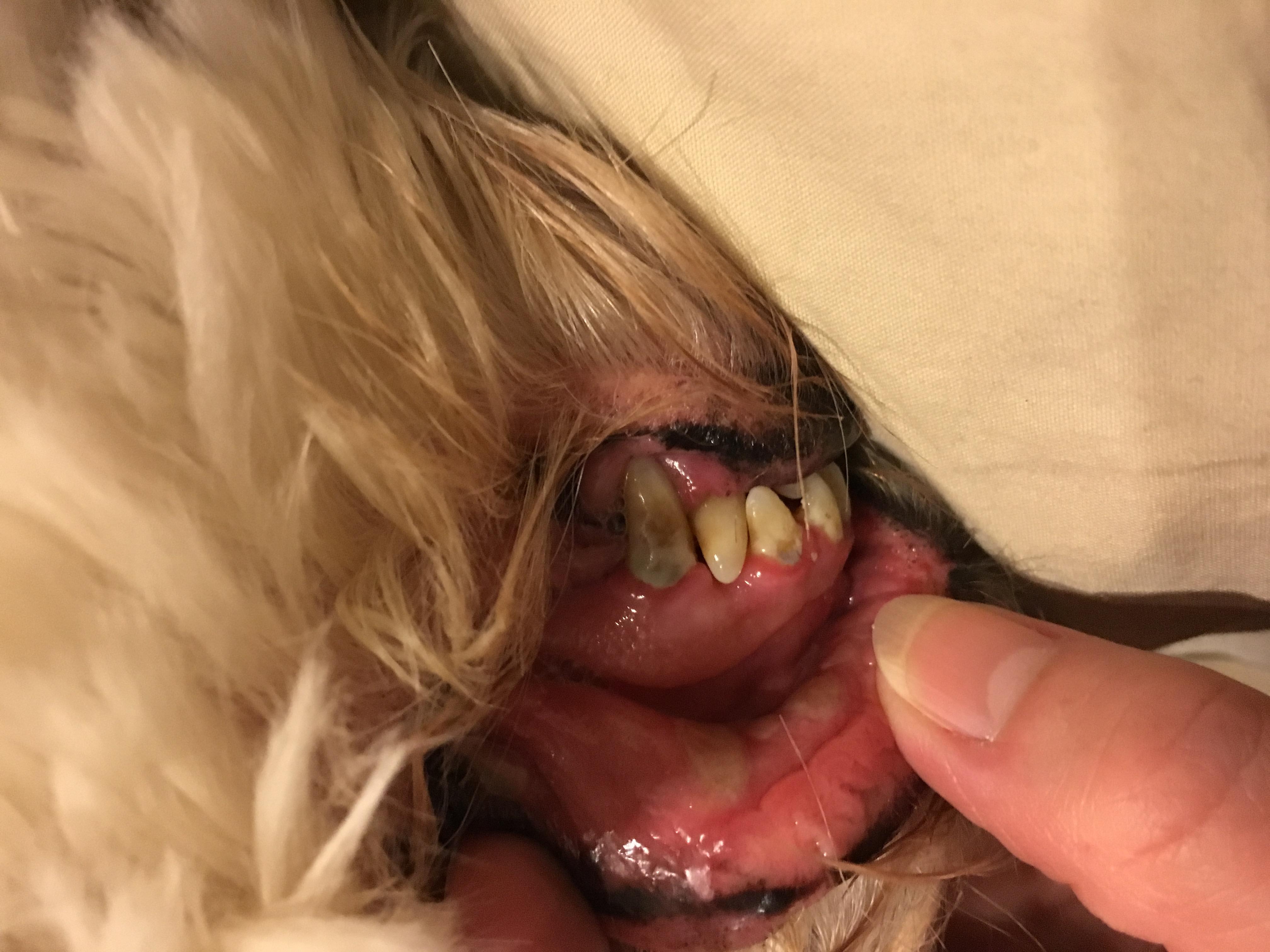 Question details sensitive content