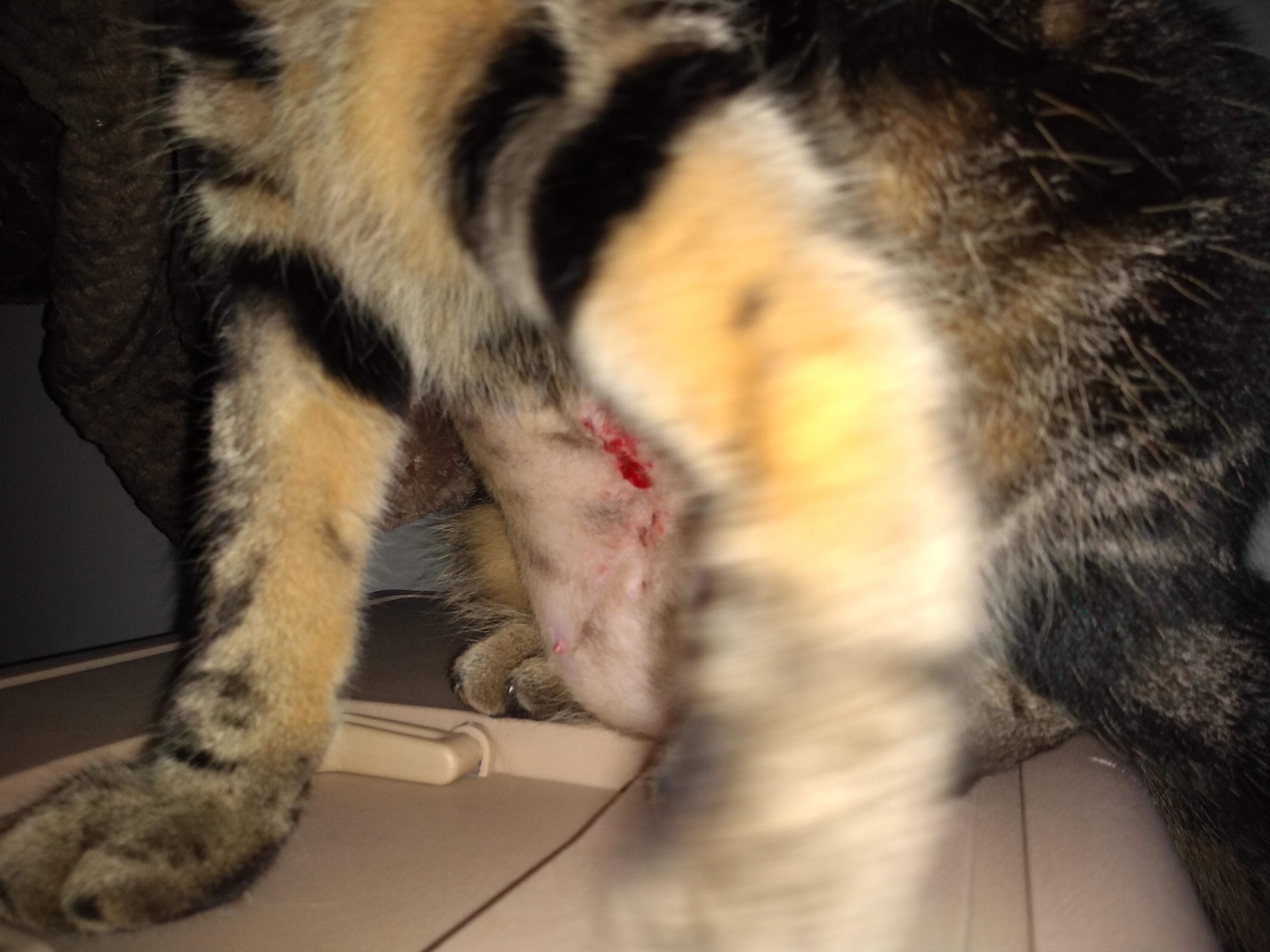 Question details sensitive content