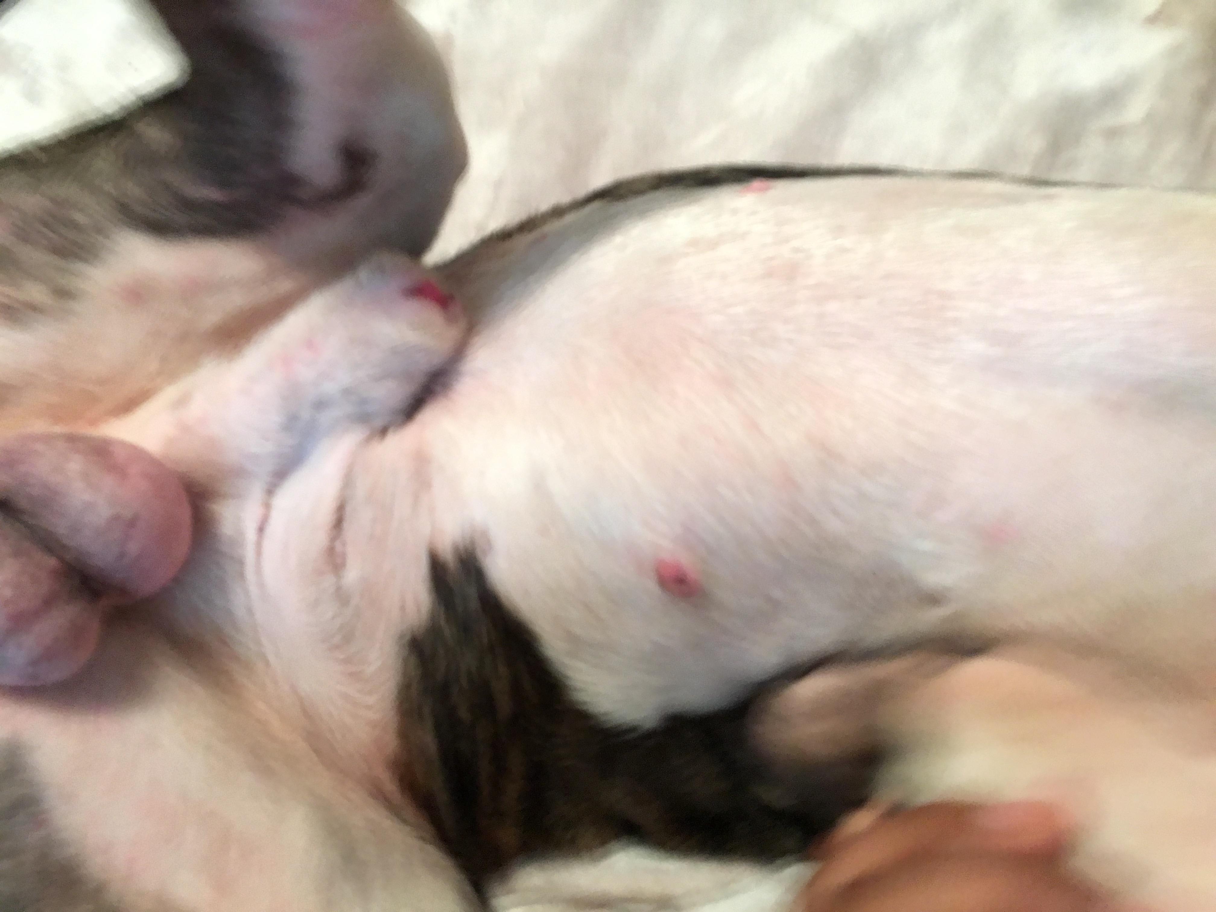 Question details sensitive content