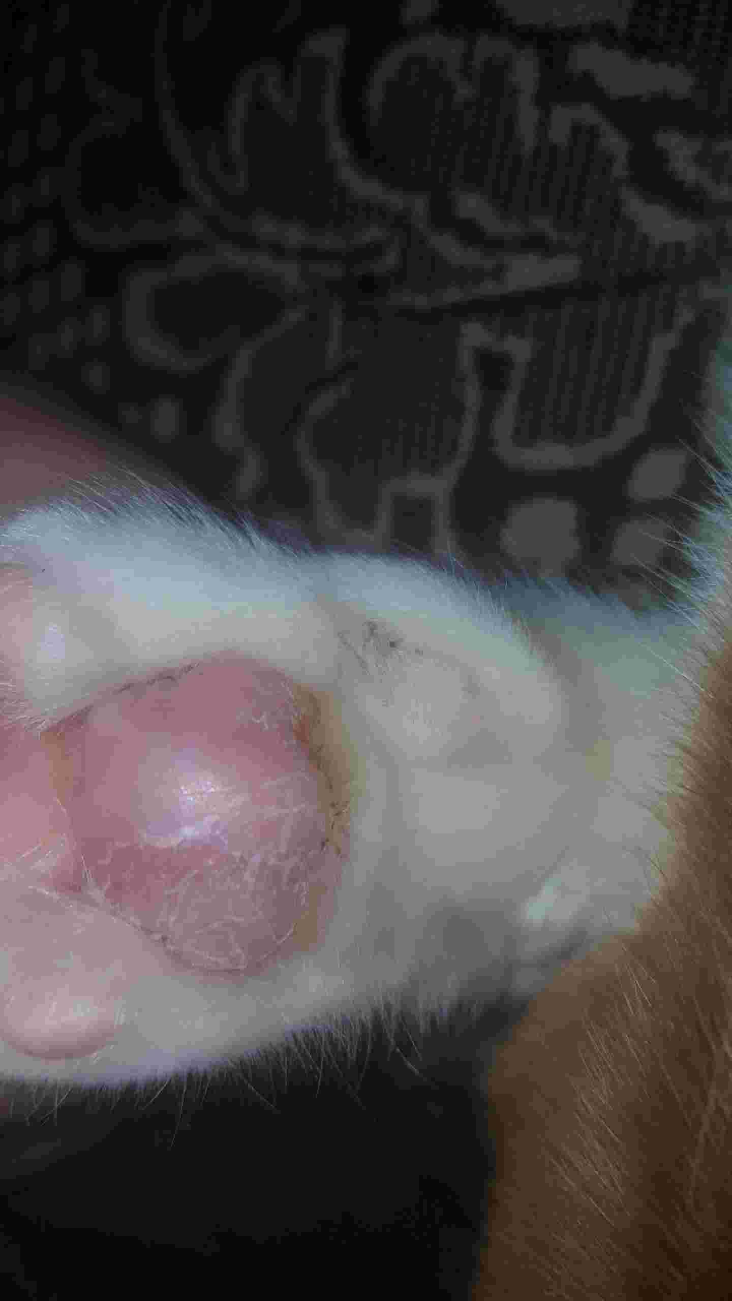 Question details sensitive content