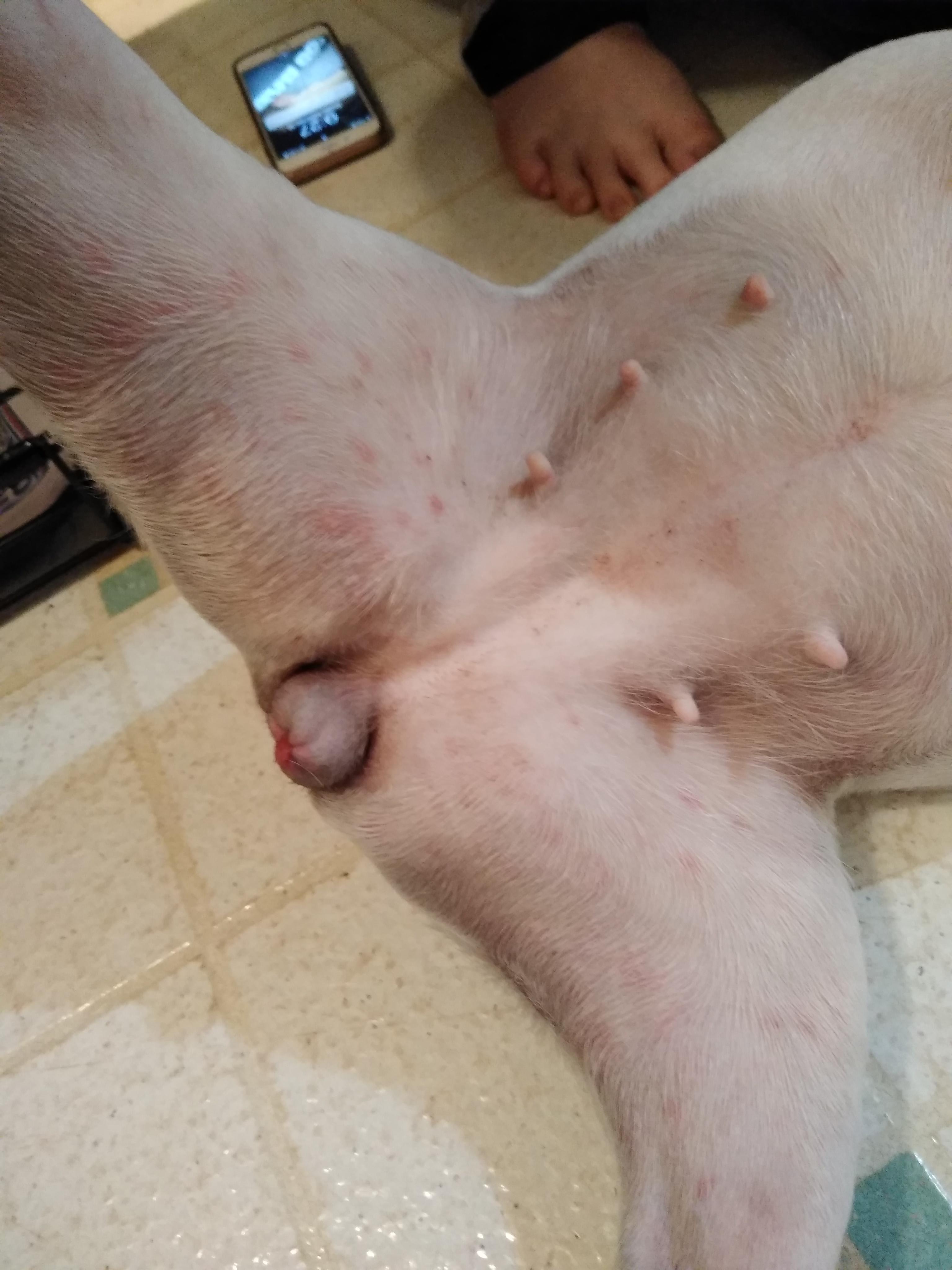 Question details sensitive content