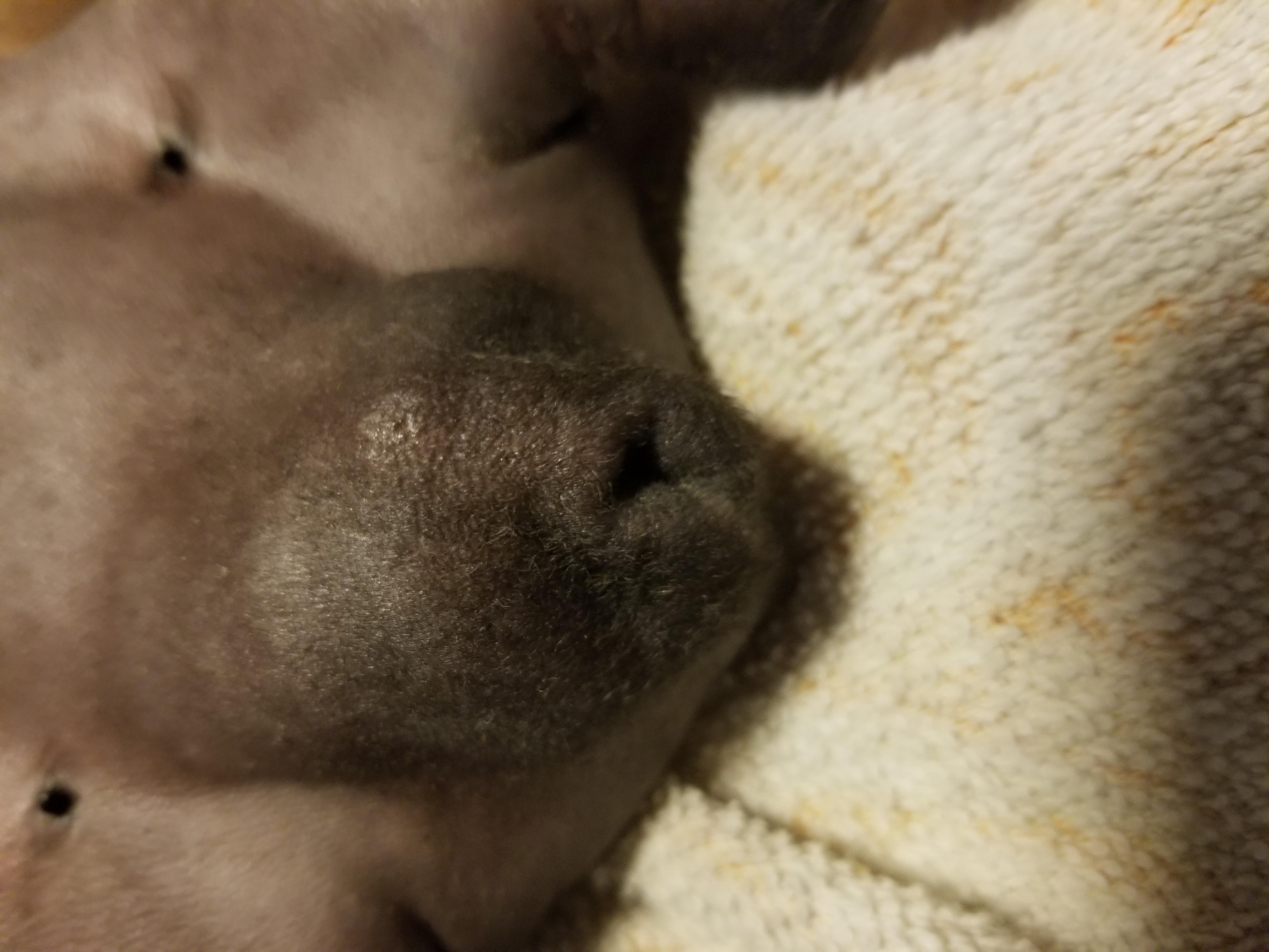 Question details sensitive content