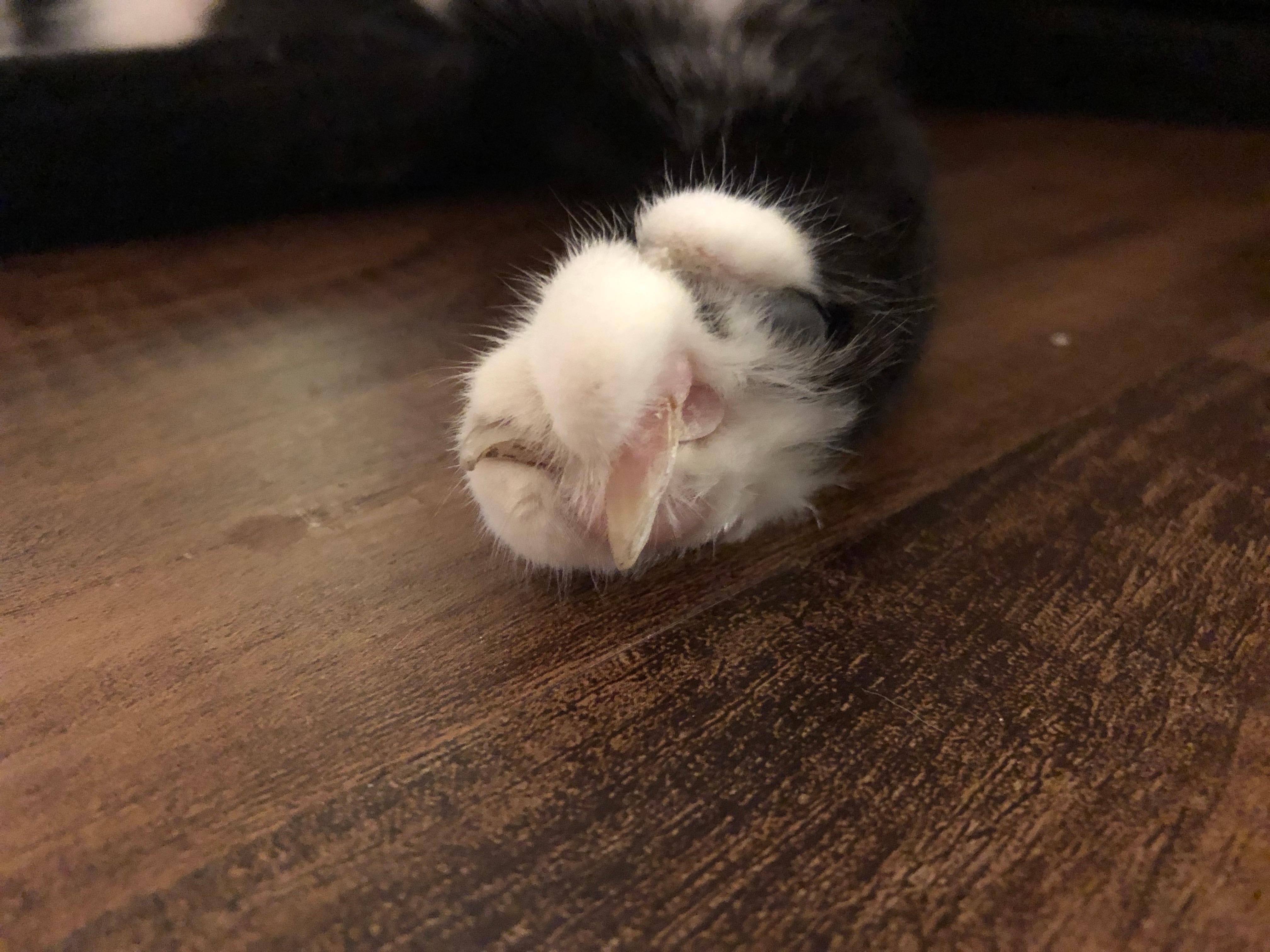 Question details sensitive content