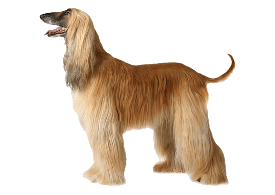 Petco Pet Education Center