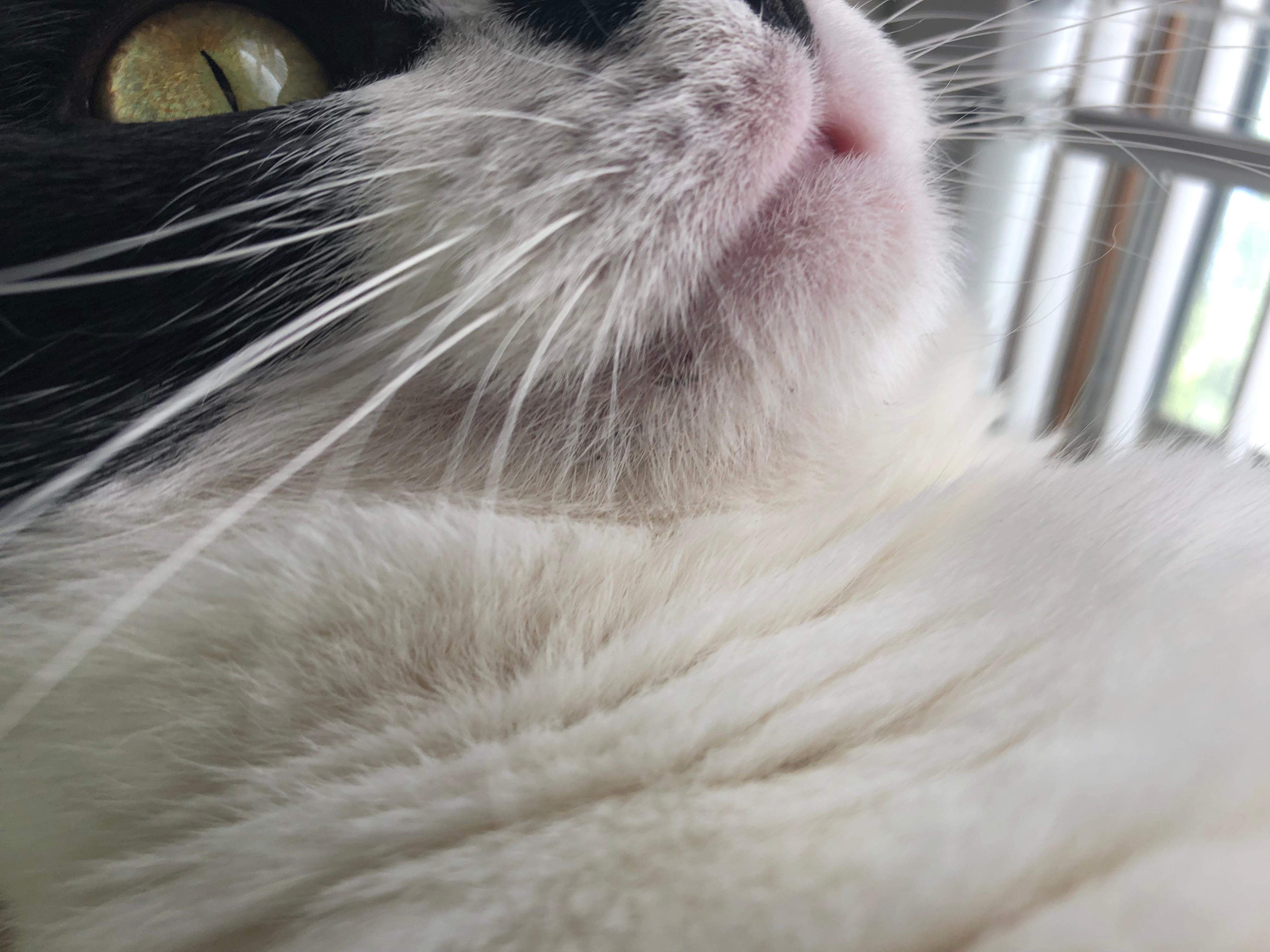 Question details sensitive content