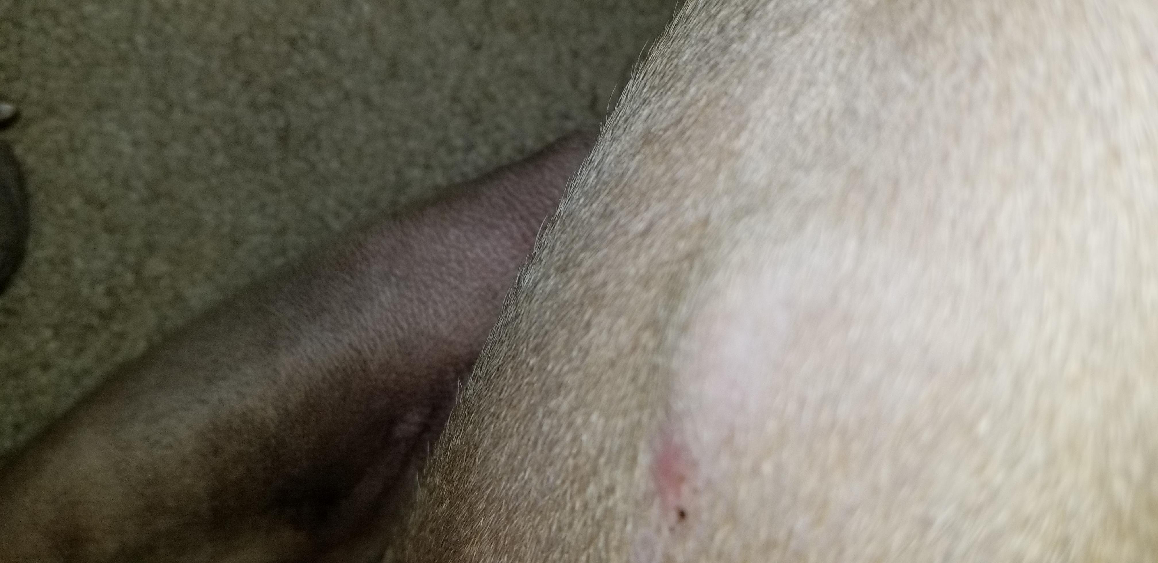 Question details sensitive content