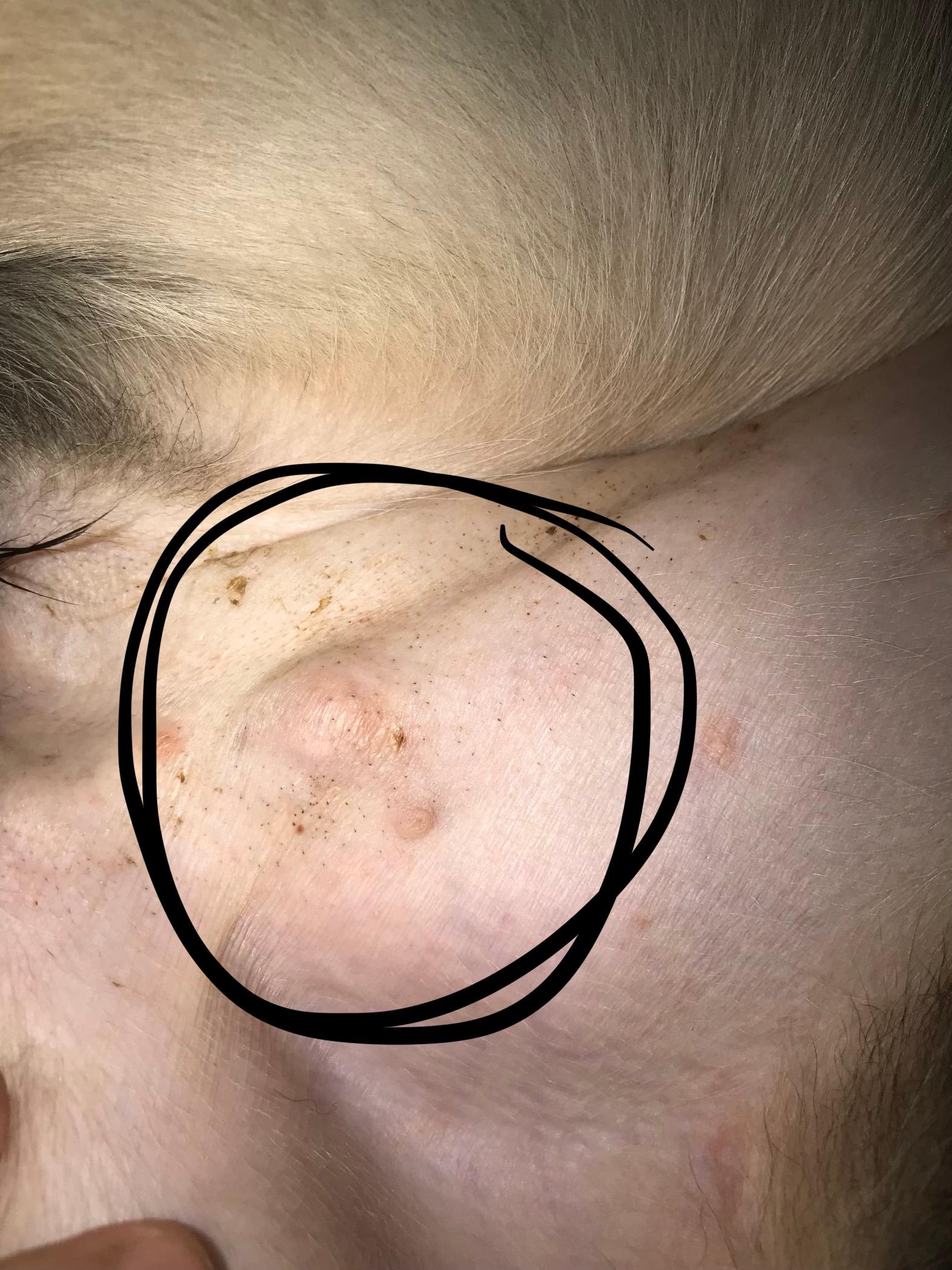 Question details sensitive content