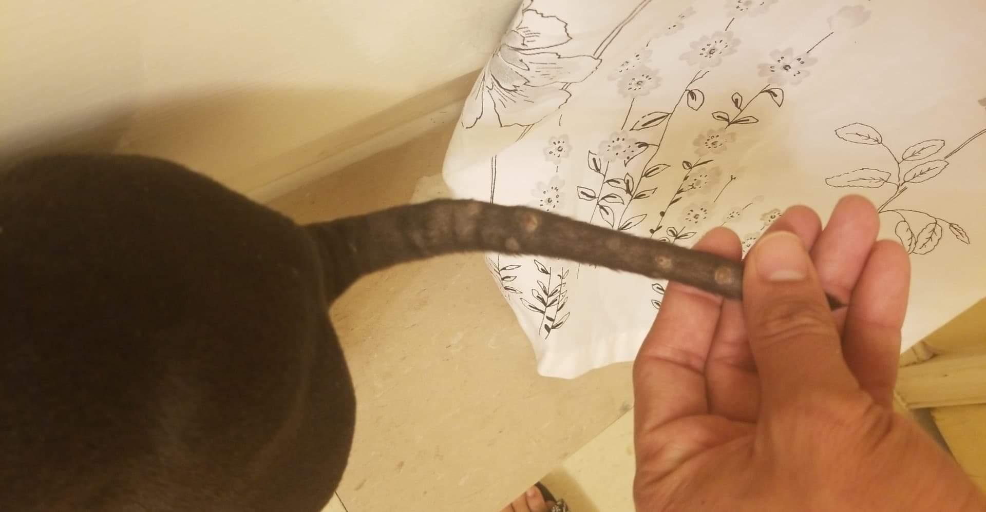 Question details sensitive content