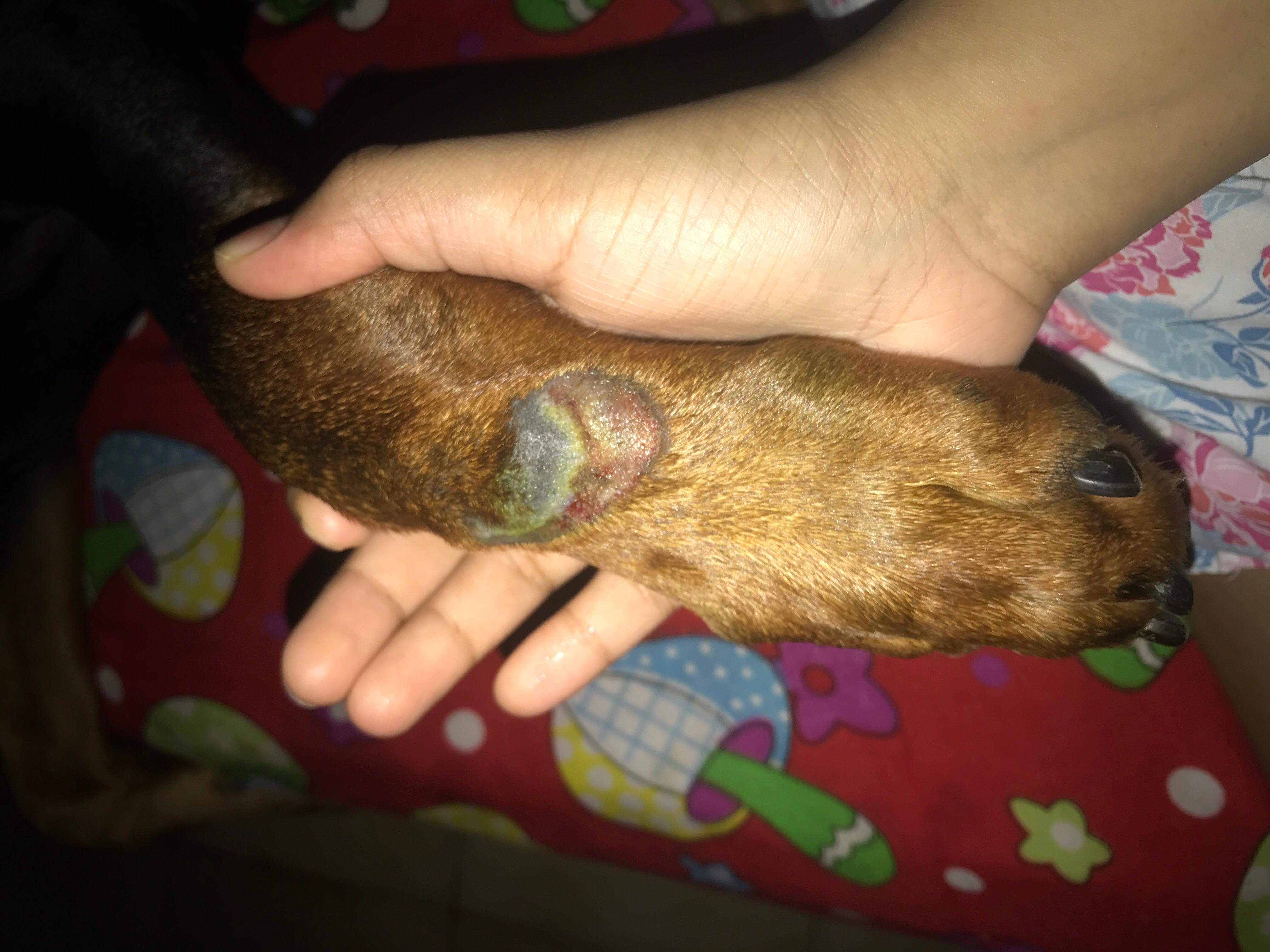 Question details sensitive content