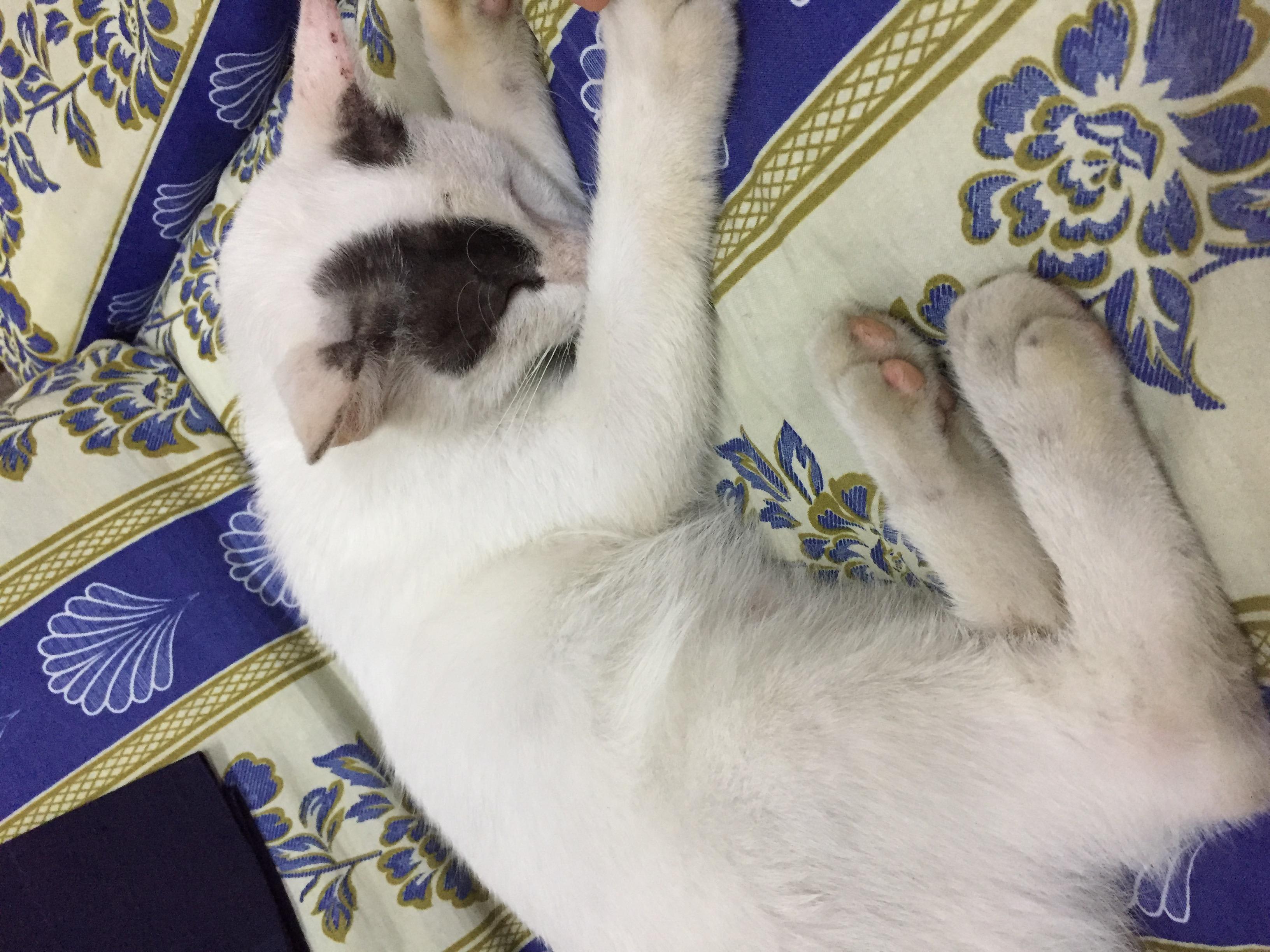 Question details sensitive content