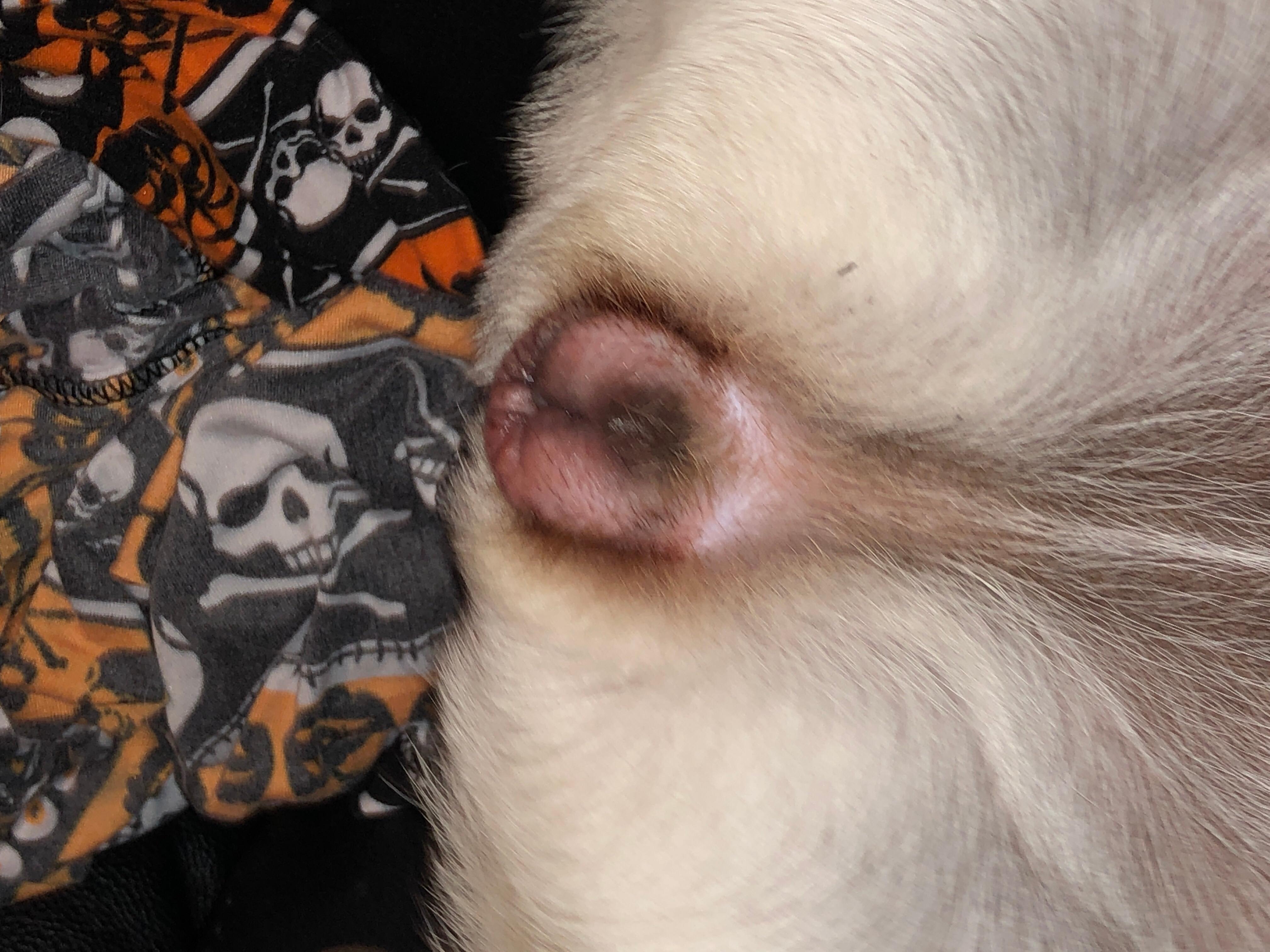 Question details sensitive content