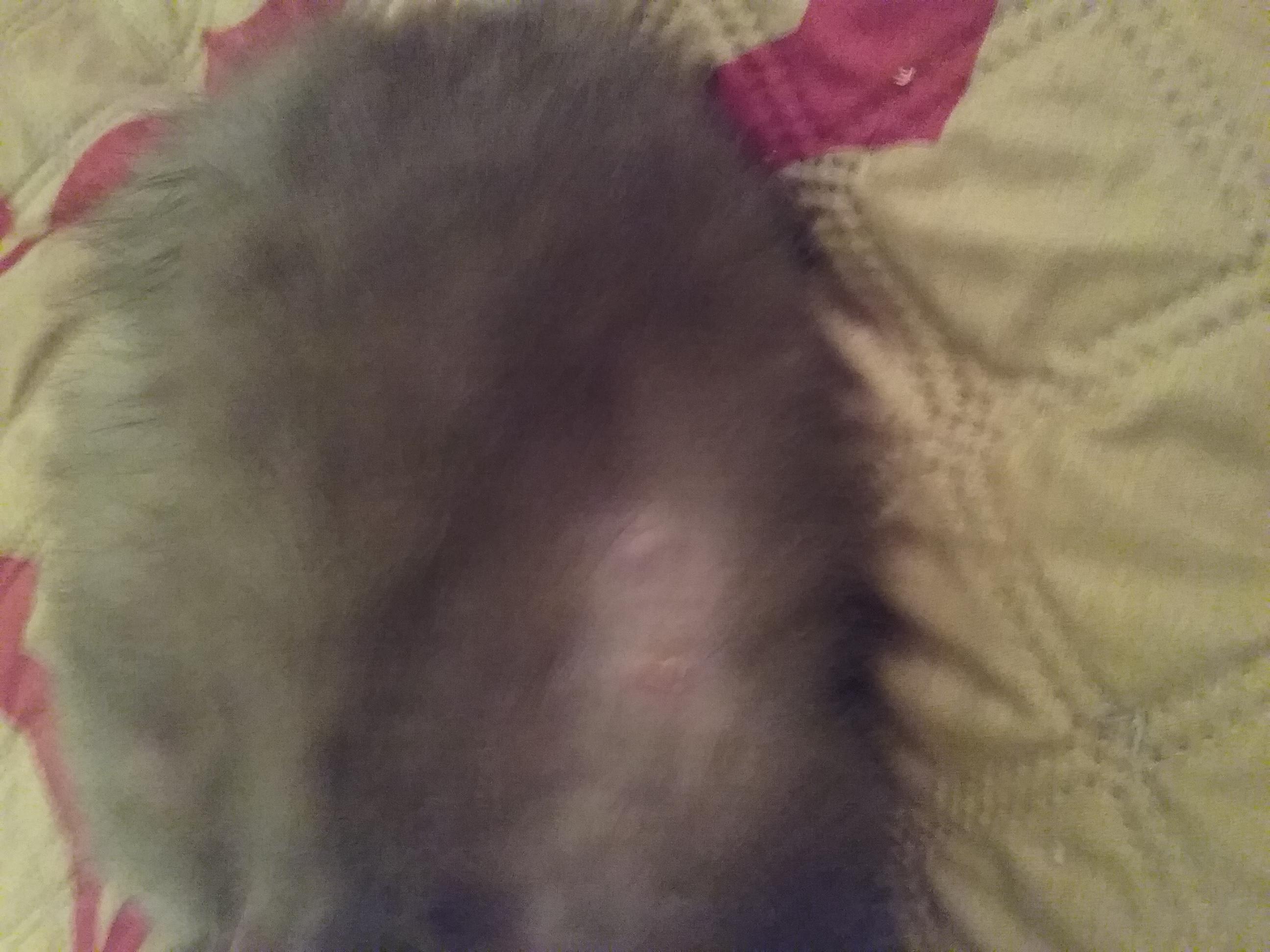 Question details sensitive content