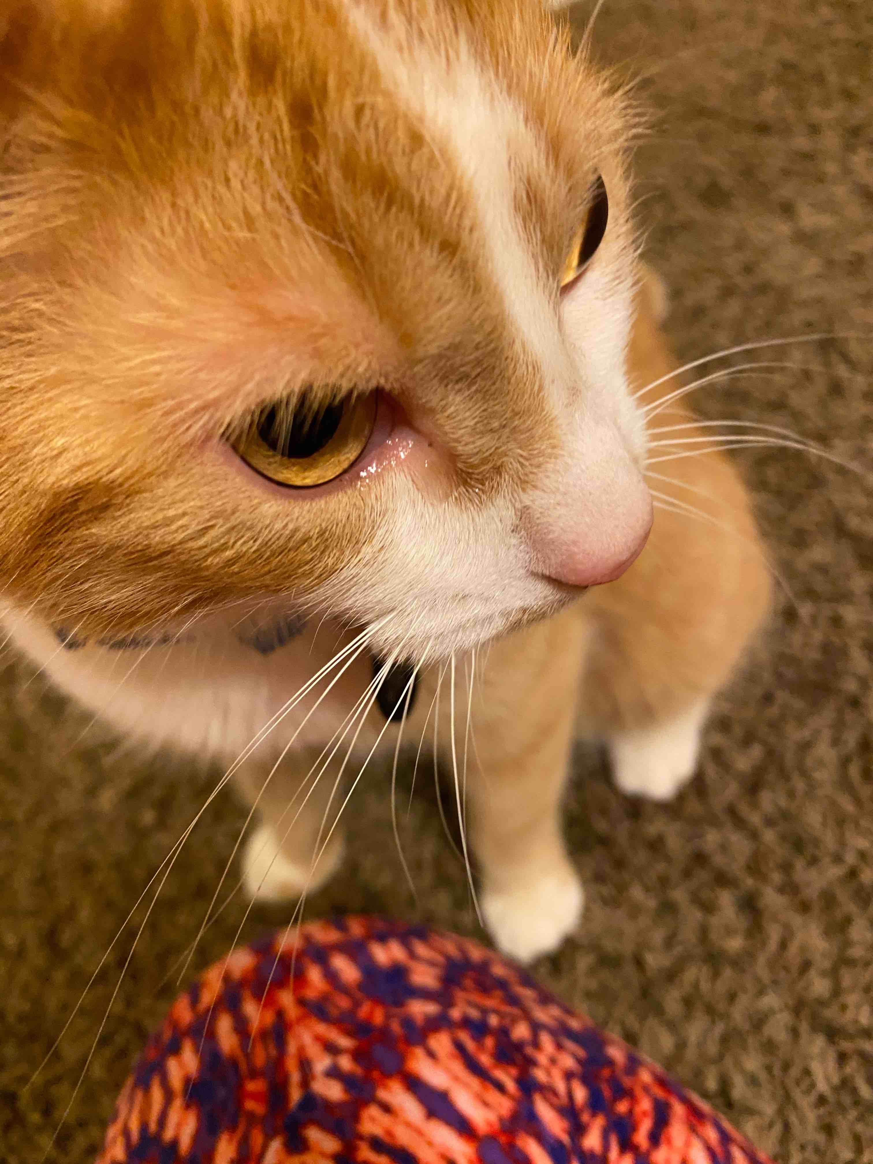 Question details sensitive content