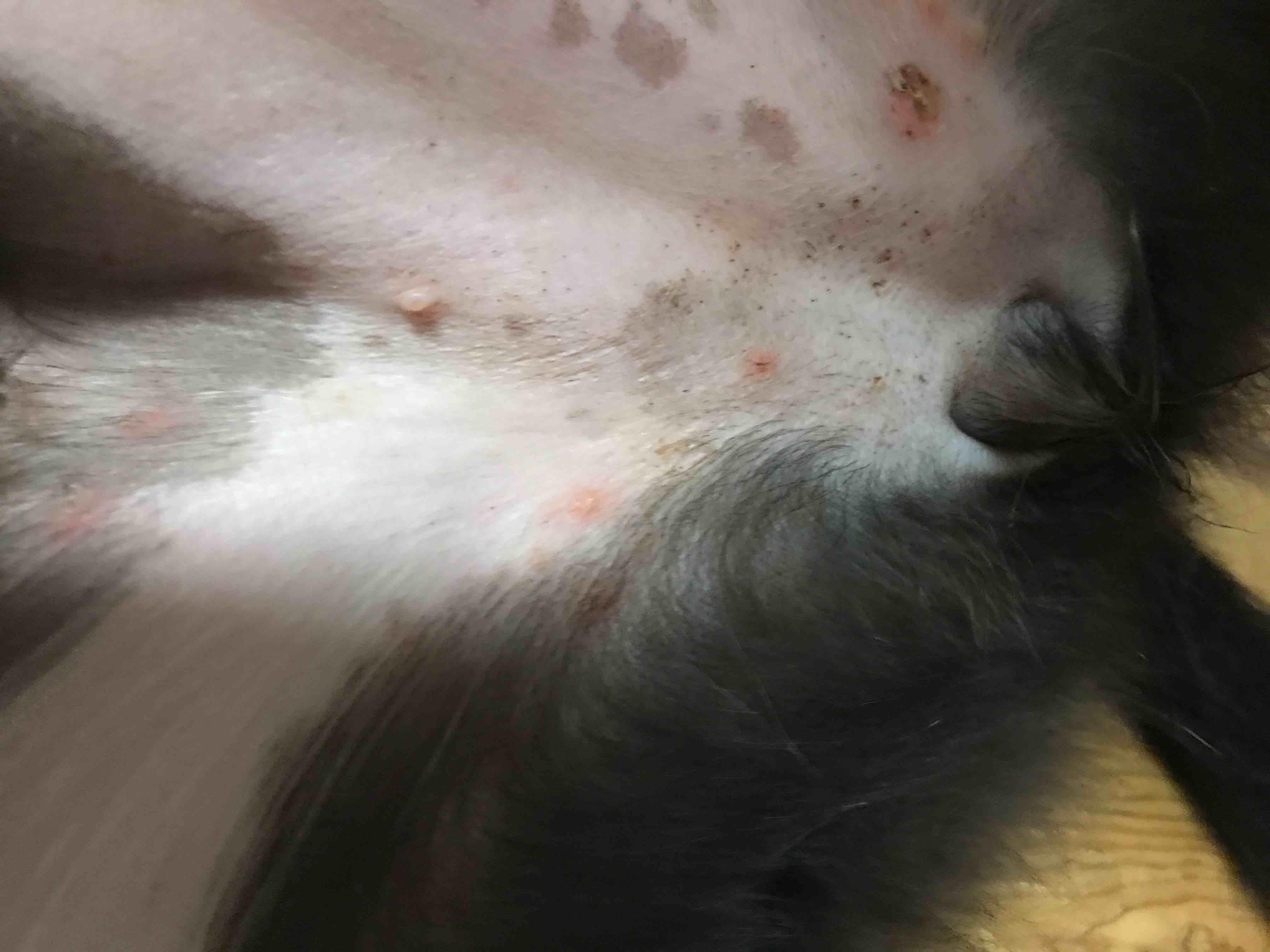 Question details sensitive content