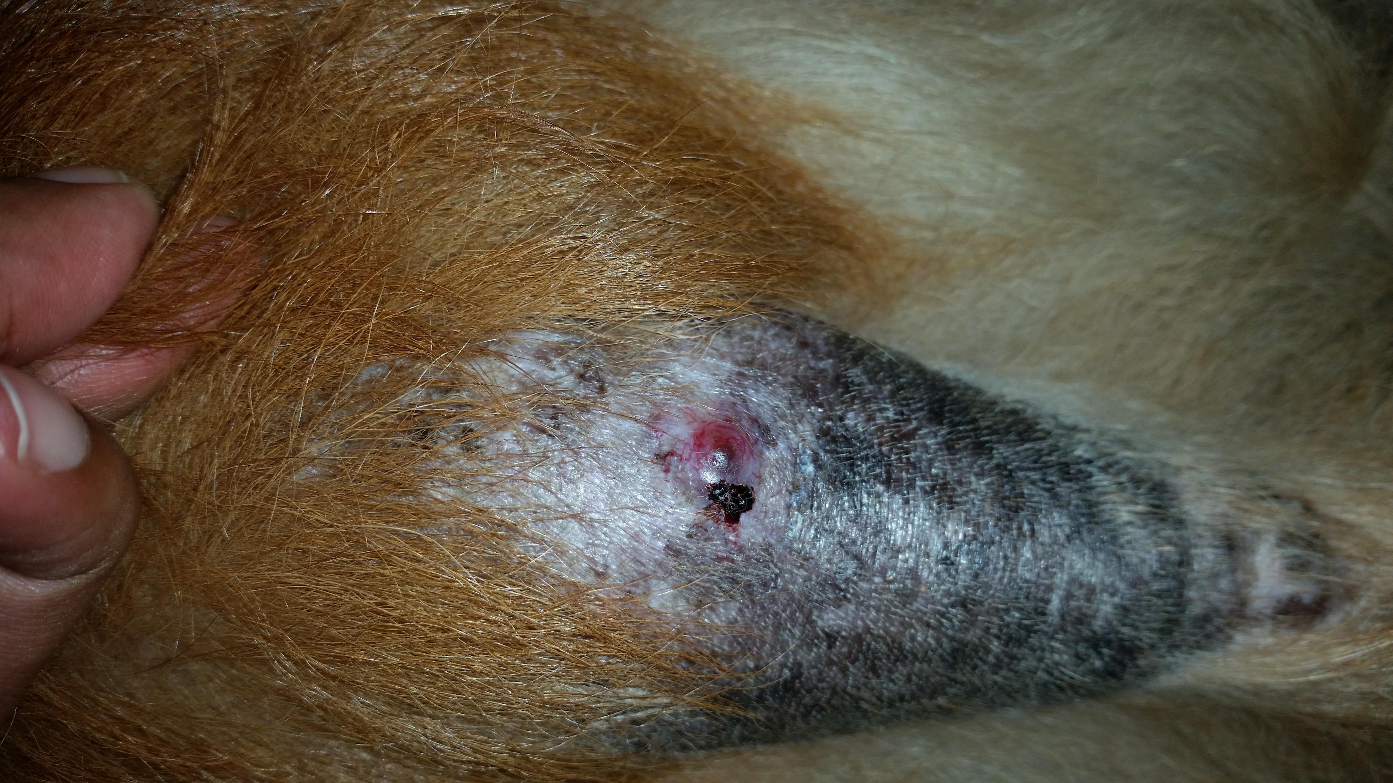 Question details sensitive content