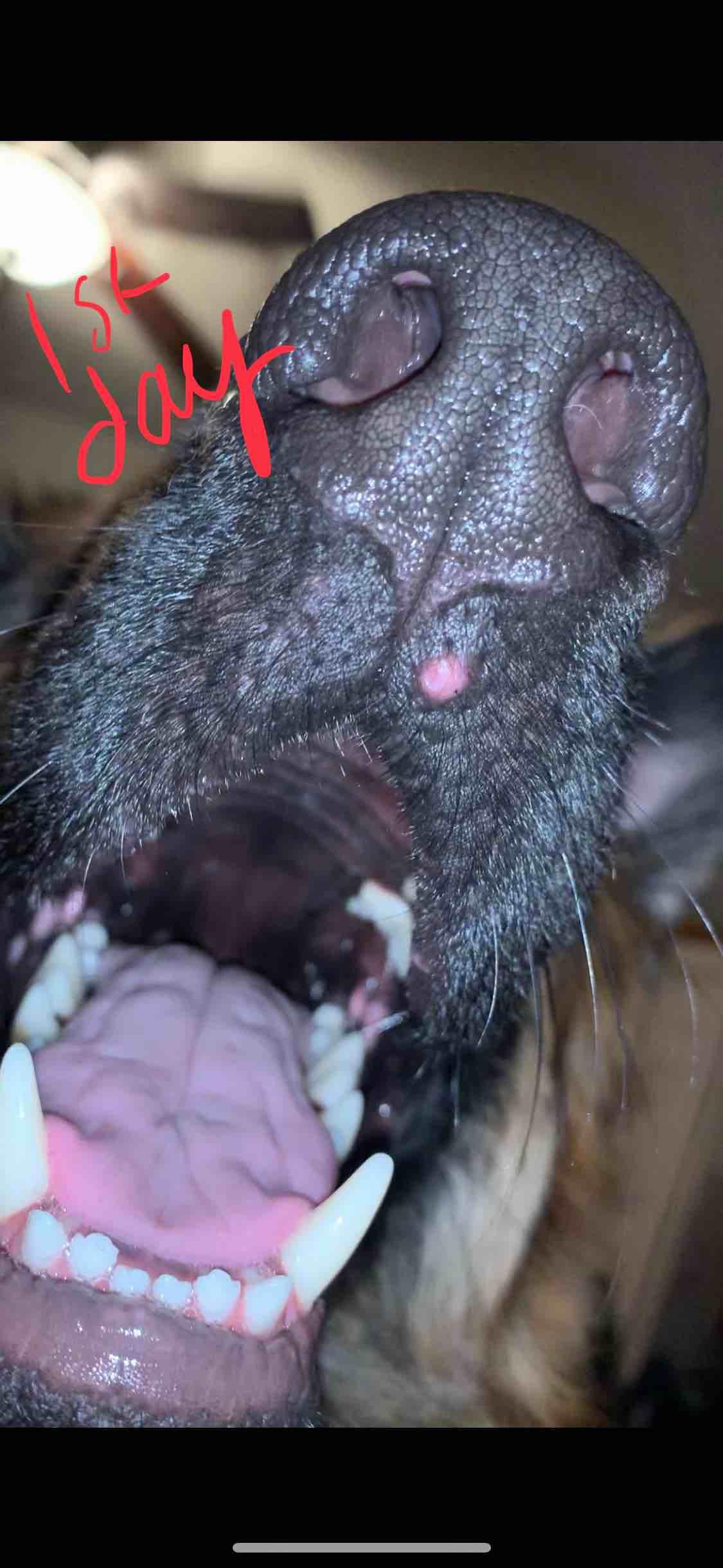 Question details sensitive content