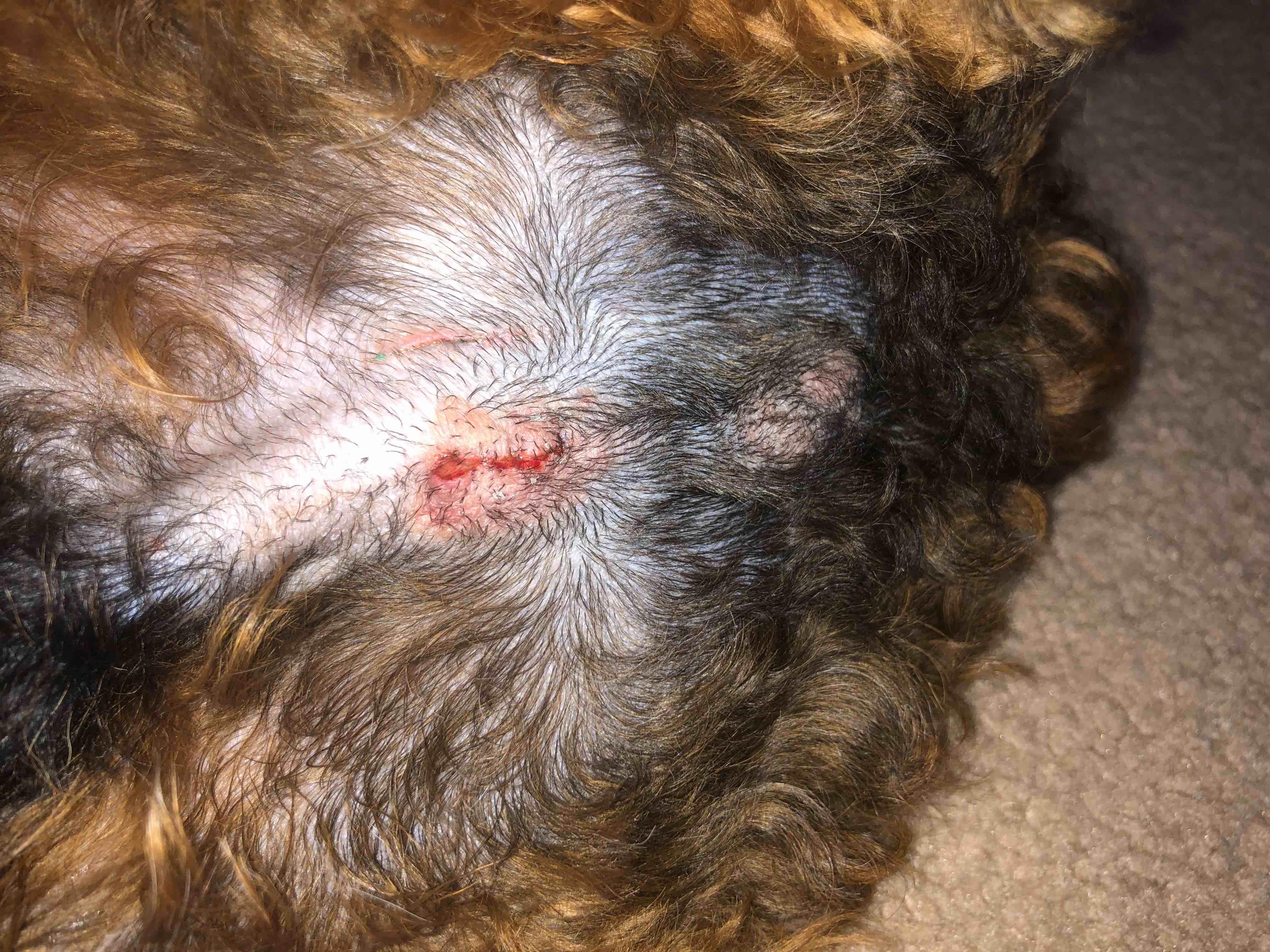 Question details sensitive content