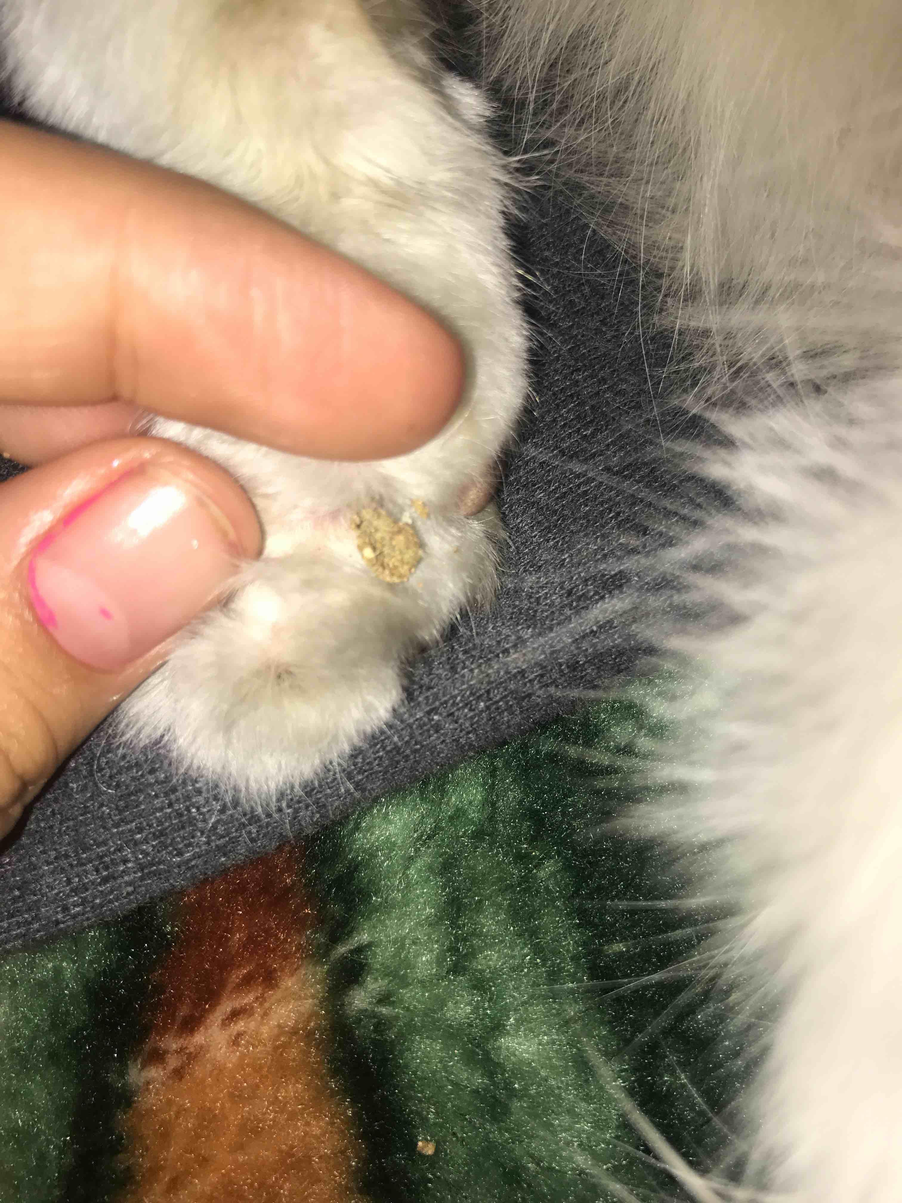 Question details sensitive content